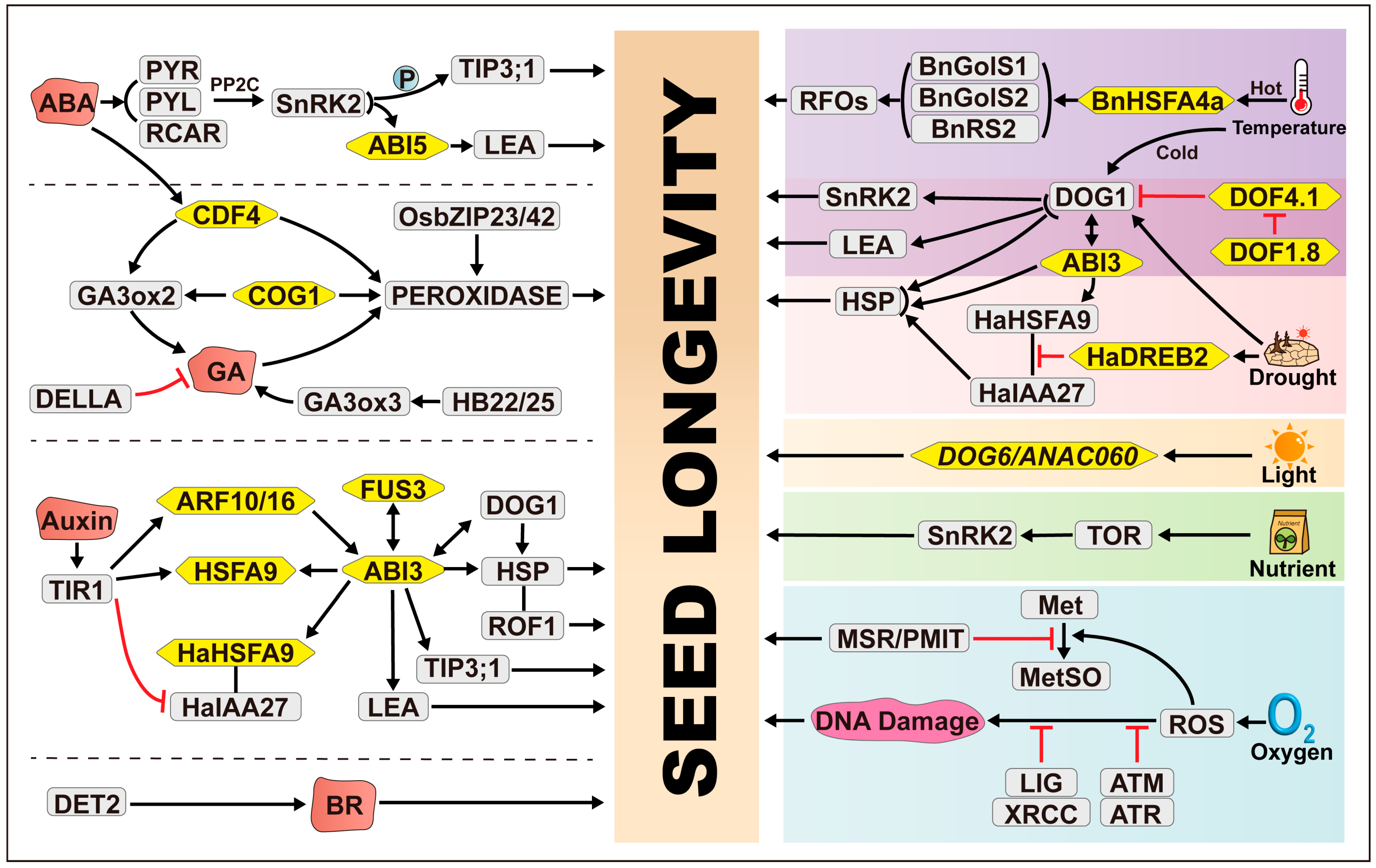Plants 14 00805 g001 Plants 14 00805 g001