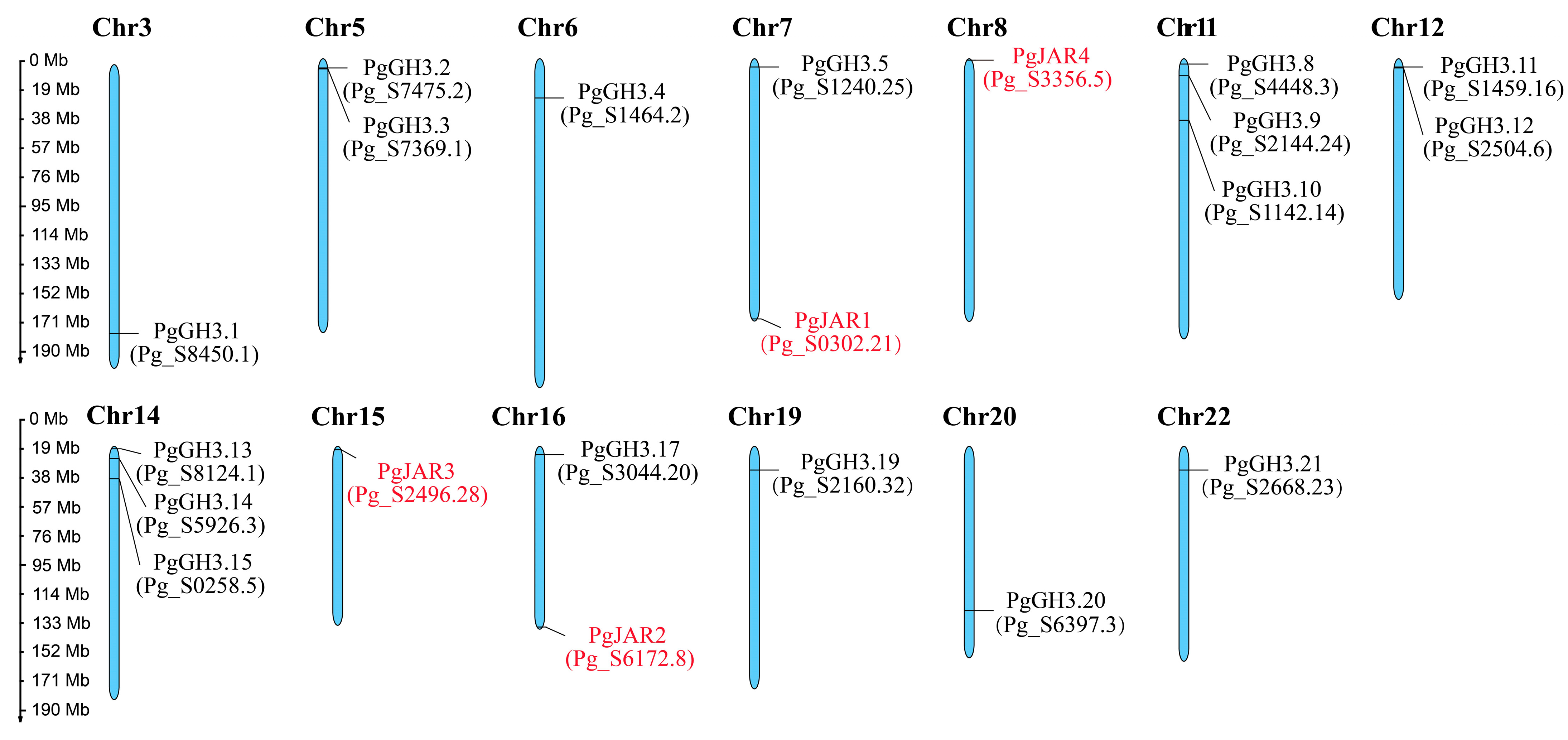 Plants 14 00847 g001