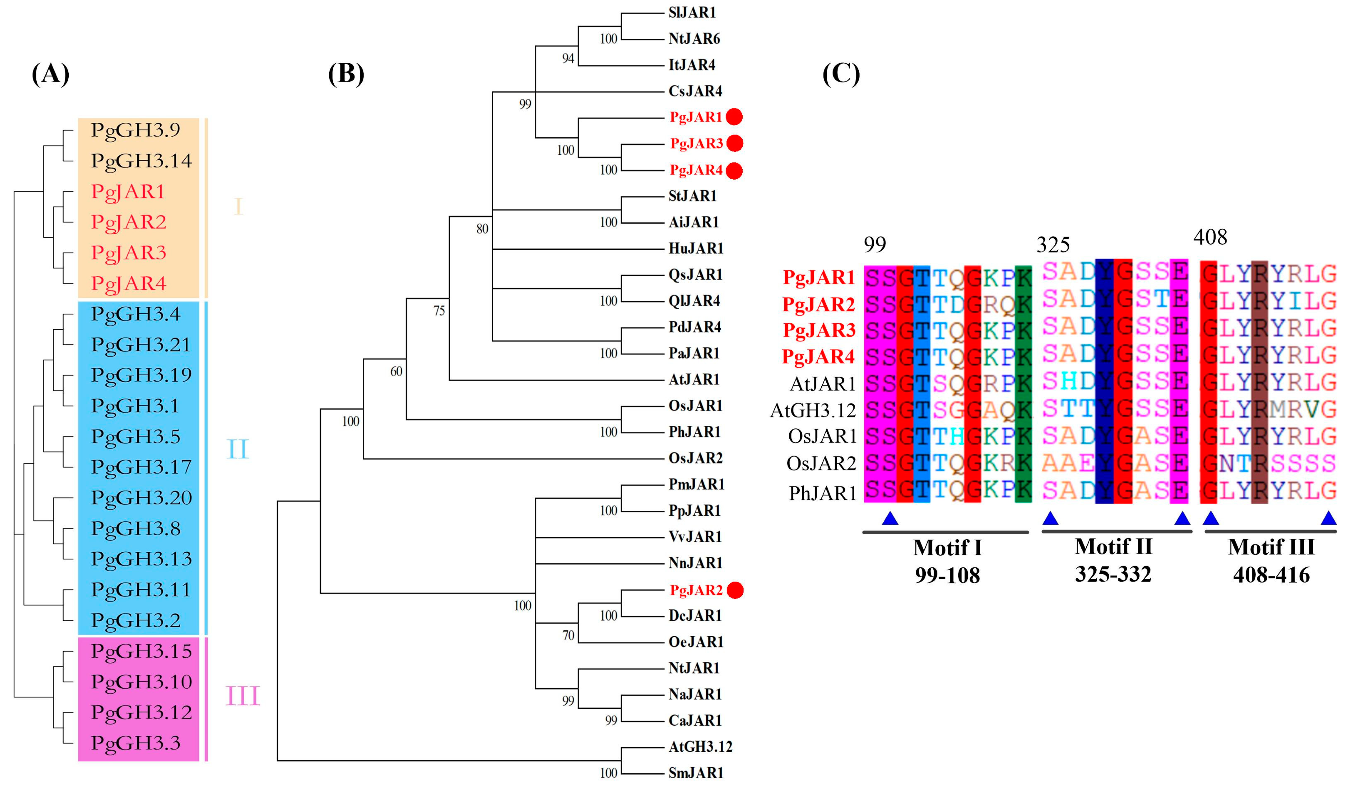 Plants 14 00847 g002