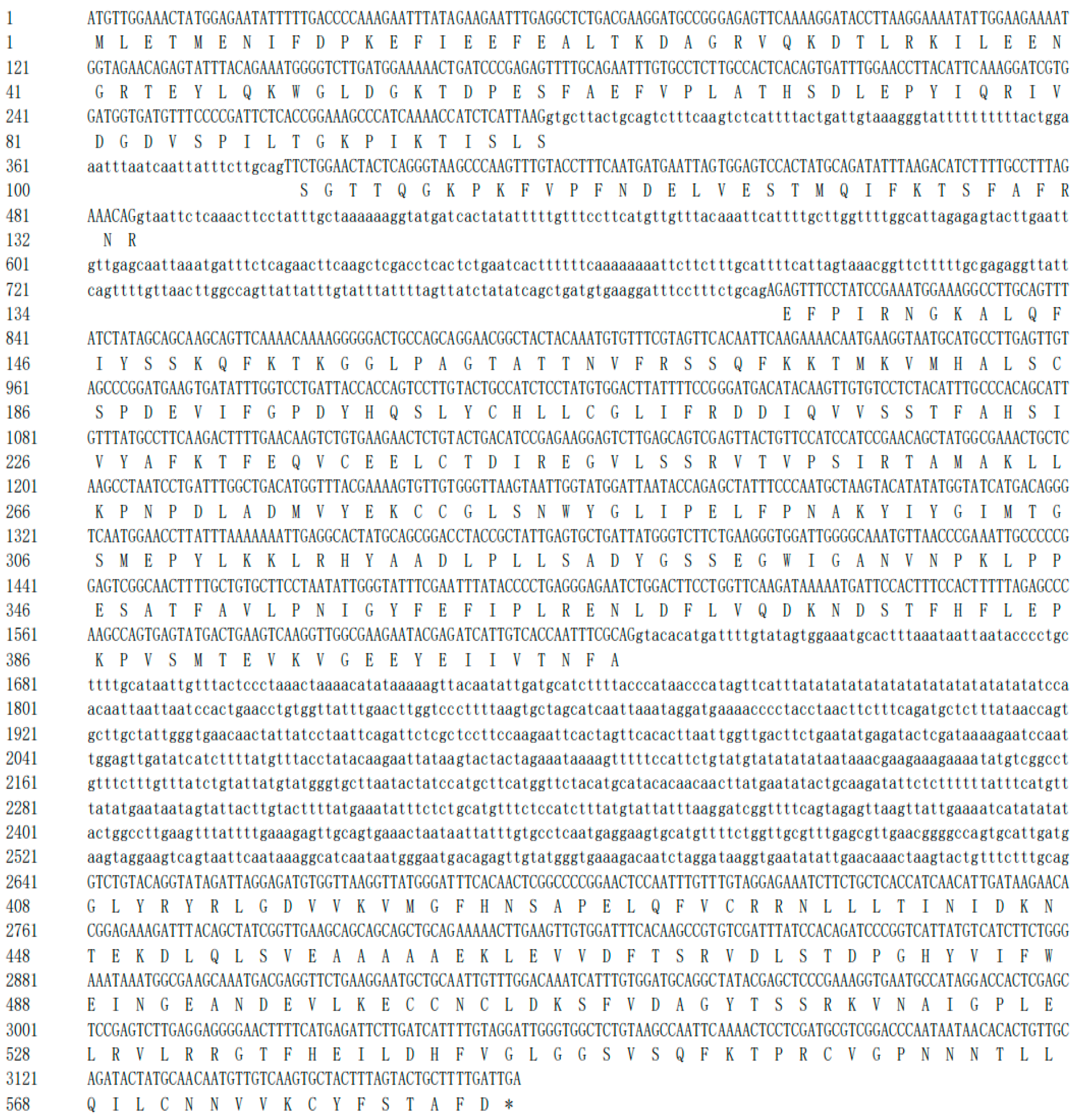 Plants 14 00847 g003