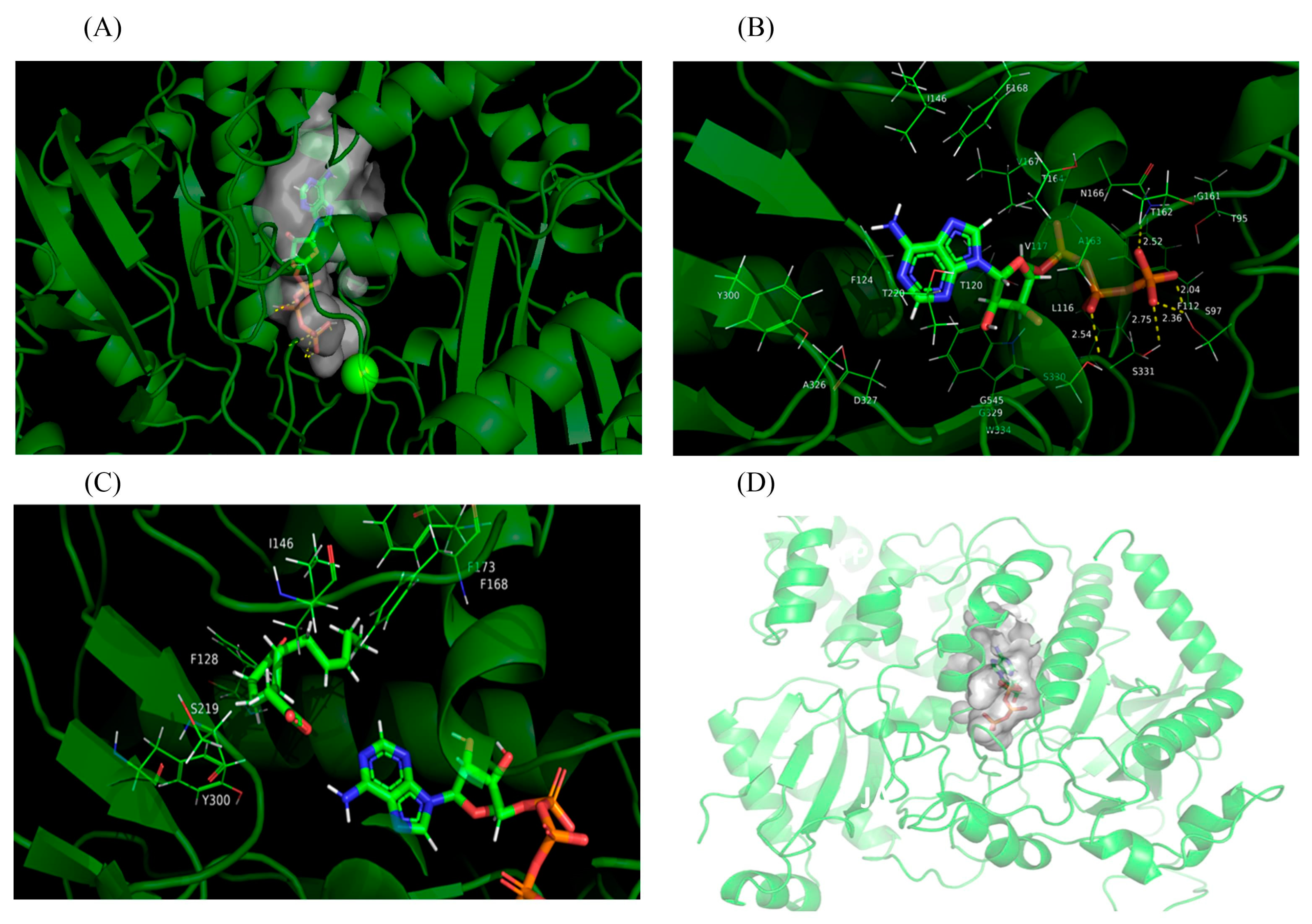 Plants 14 00847 g004