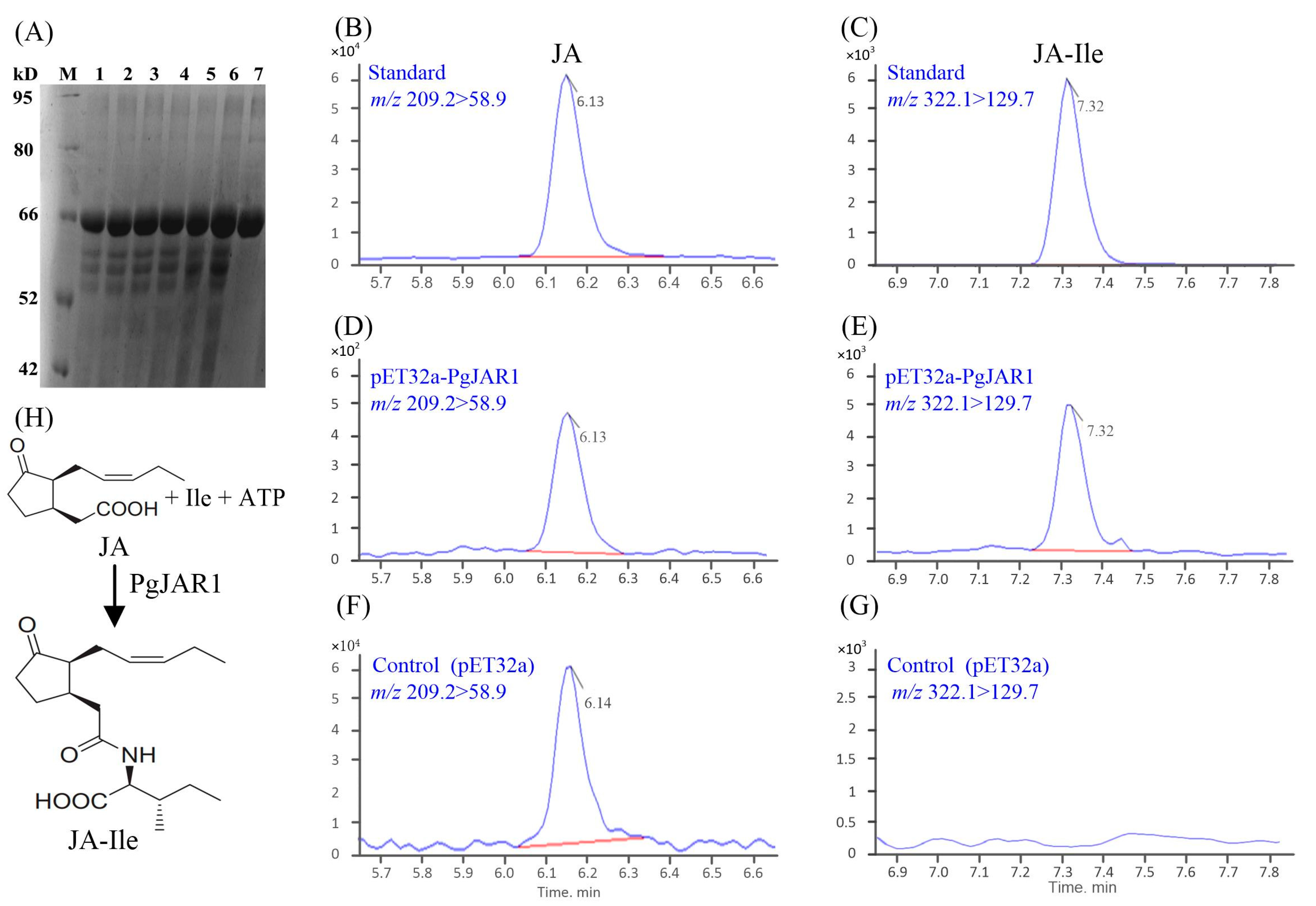 Plants 14 00847 g008