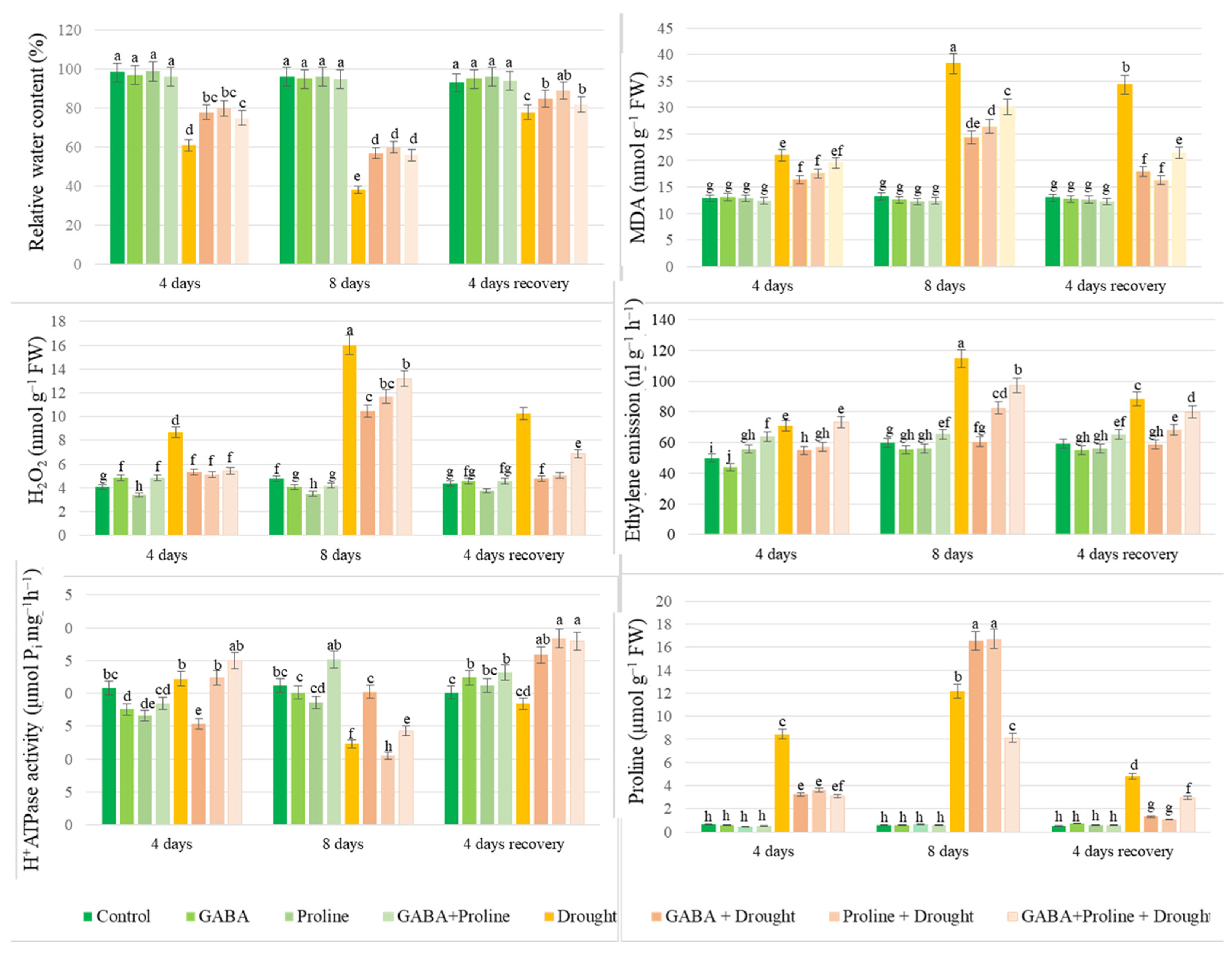 Plants 14 00860 g001