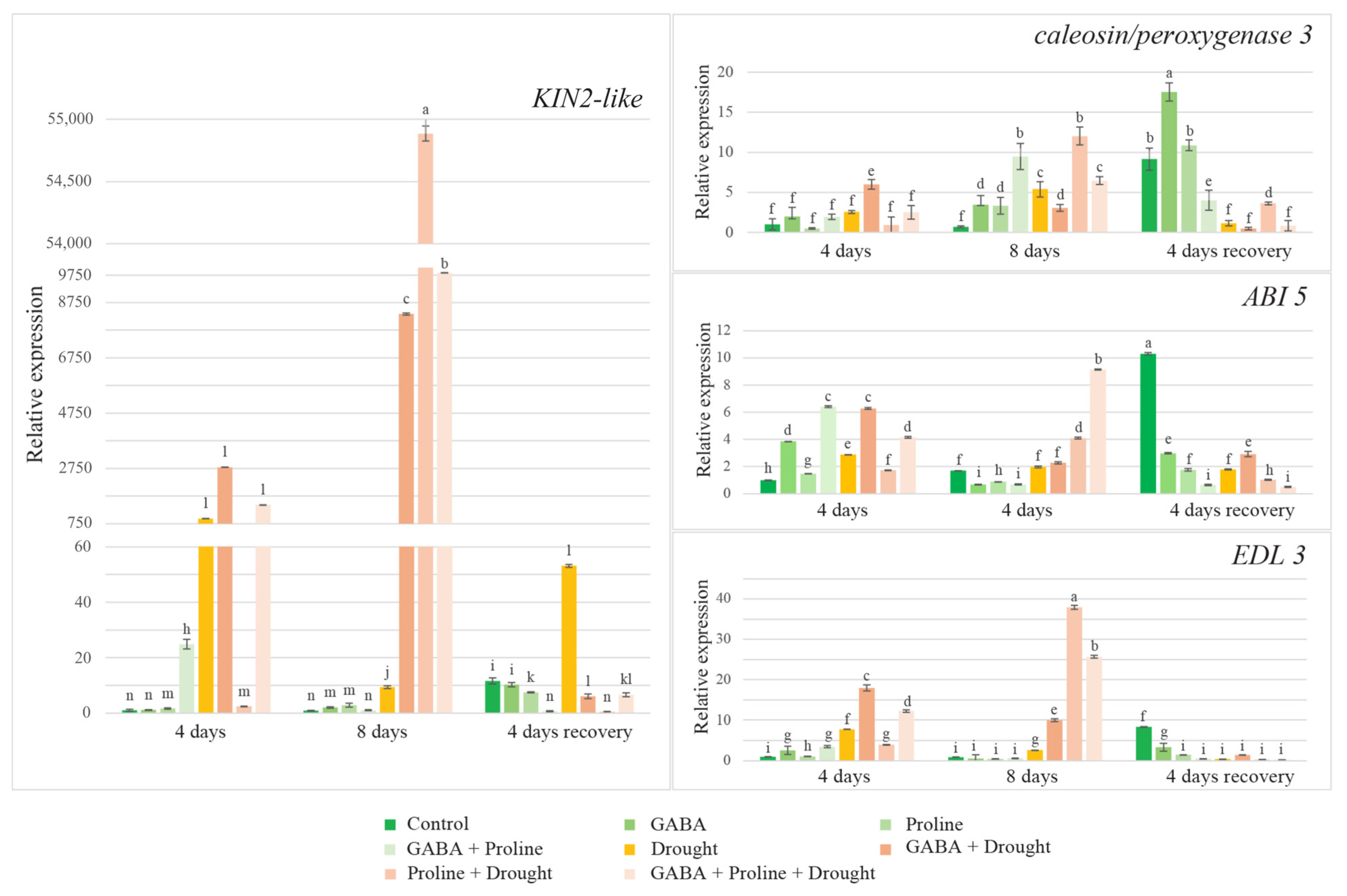 Plants 14 00860 g002