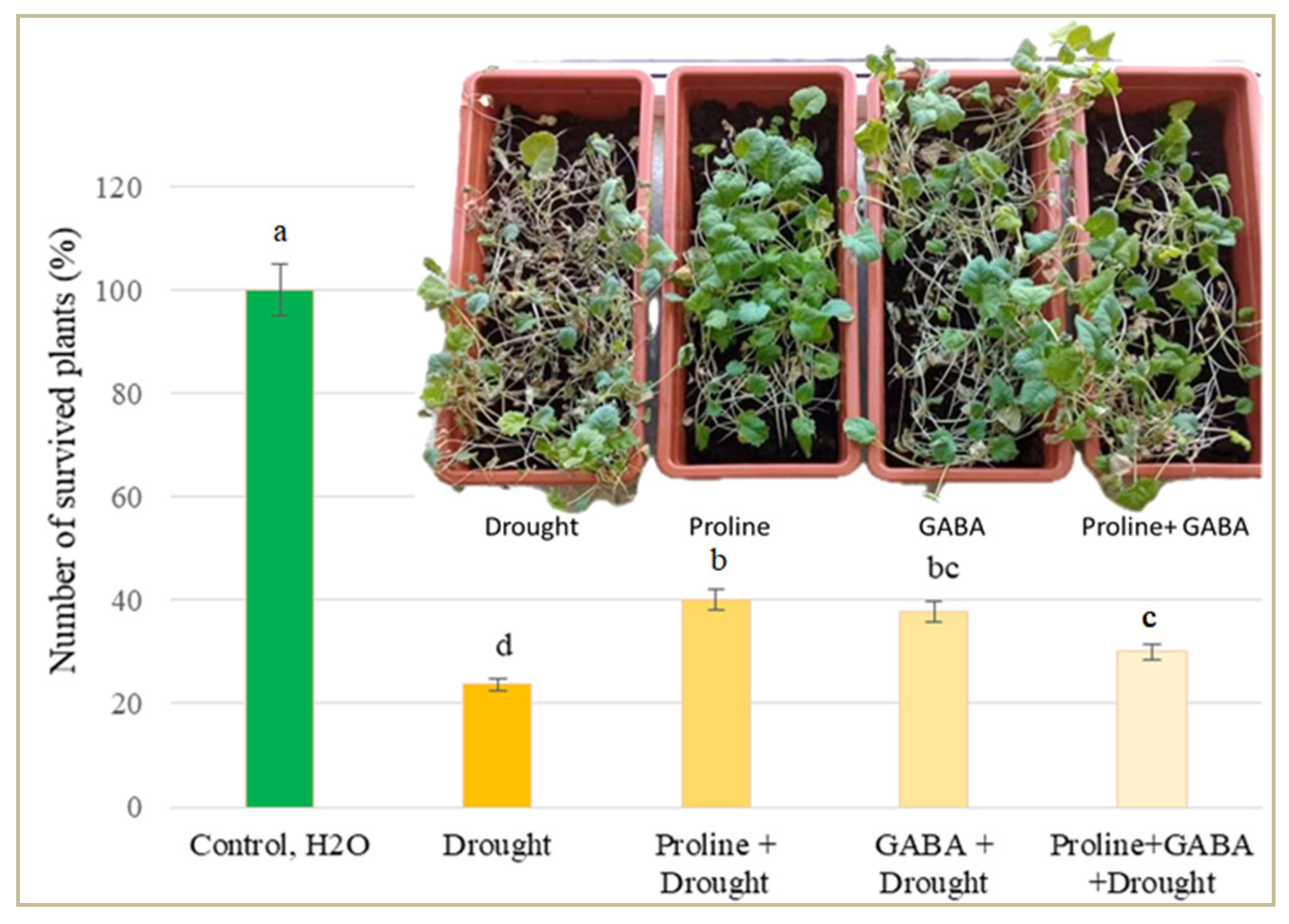 Plants 14 00860 g003