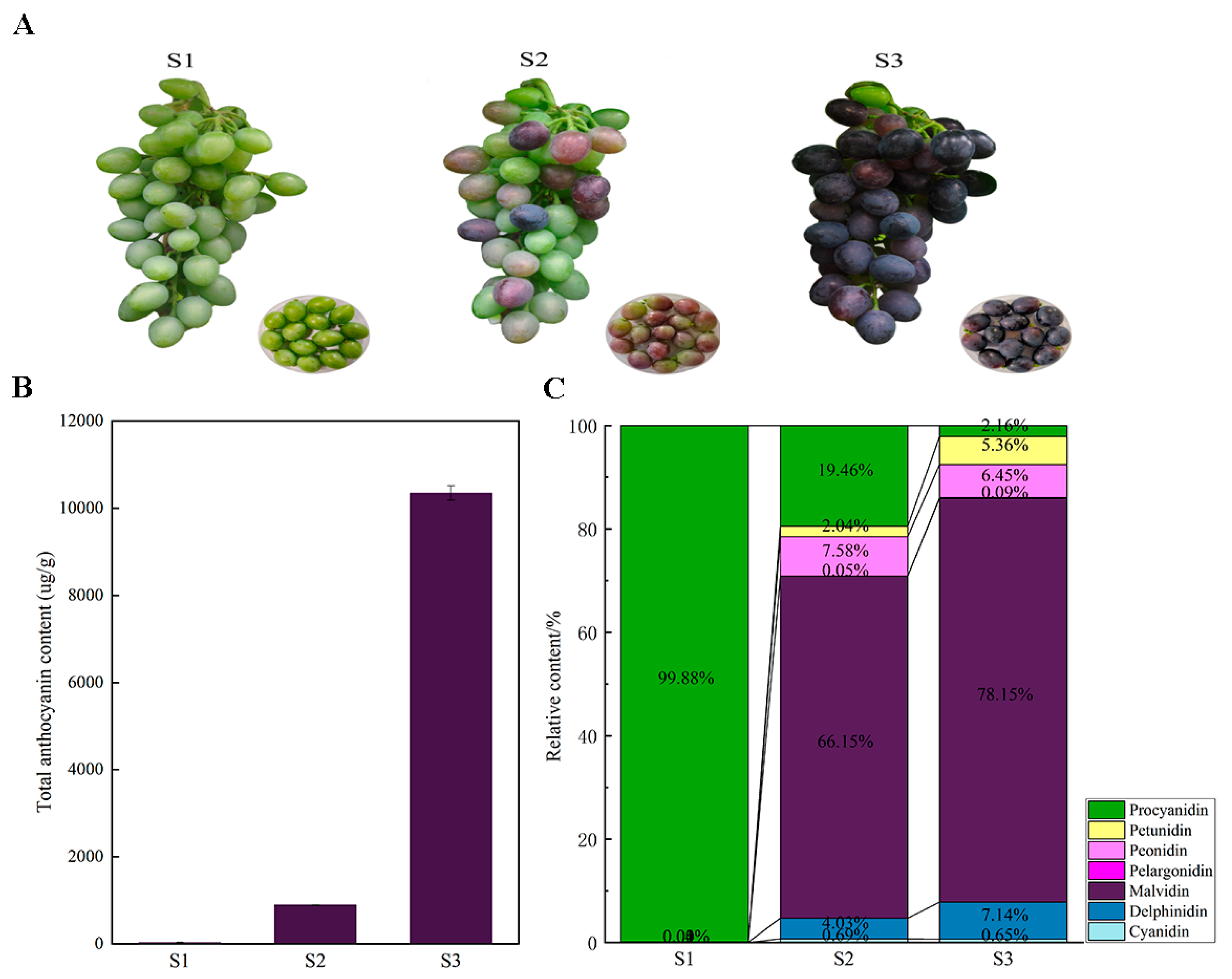 Plants 14 00871 g001