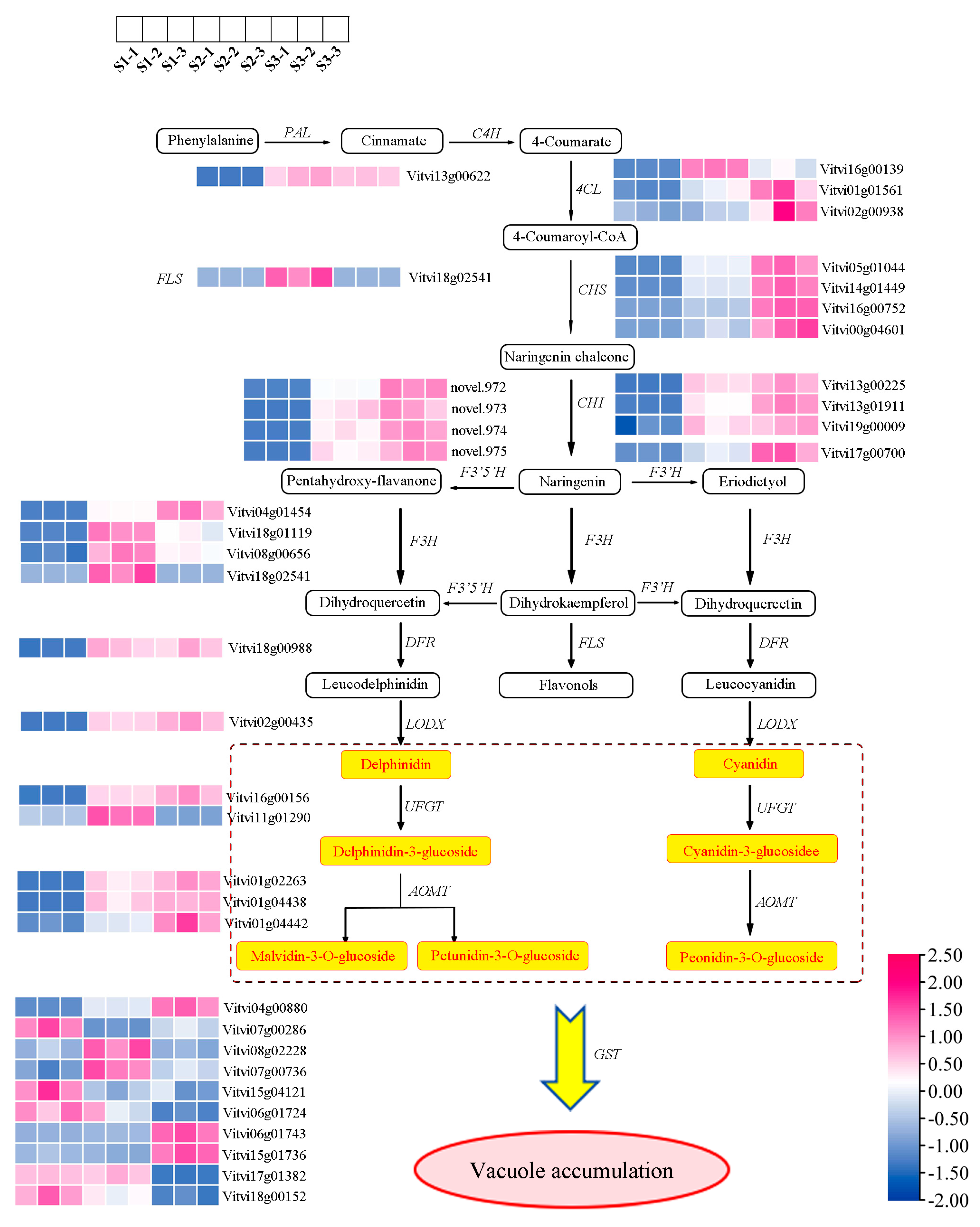 Plants 14 00871 g003