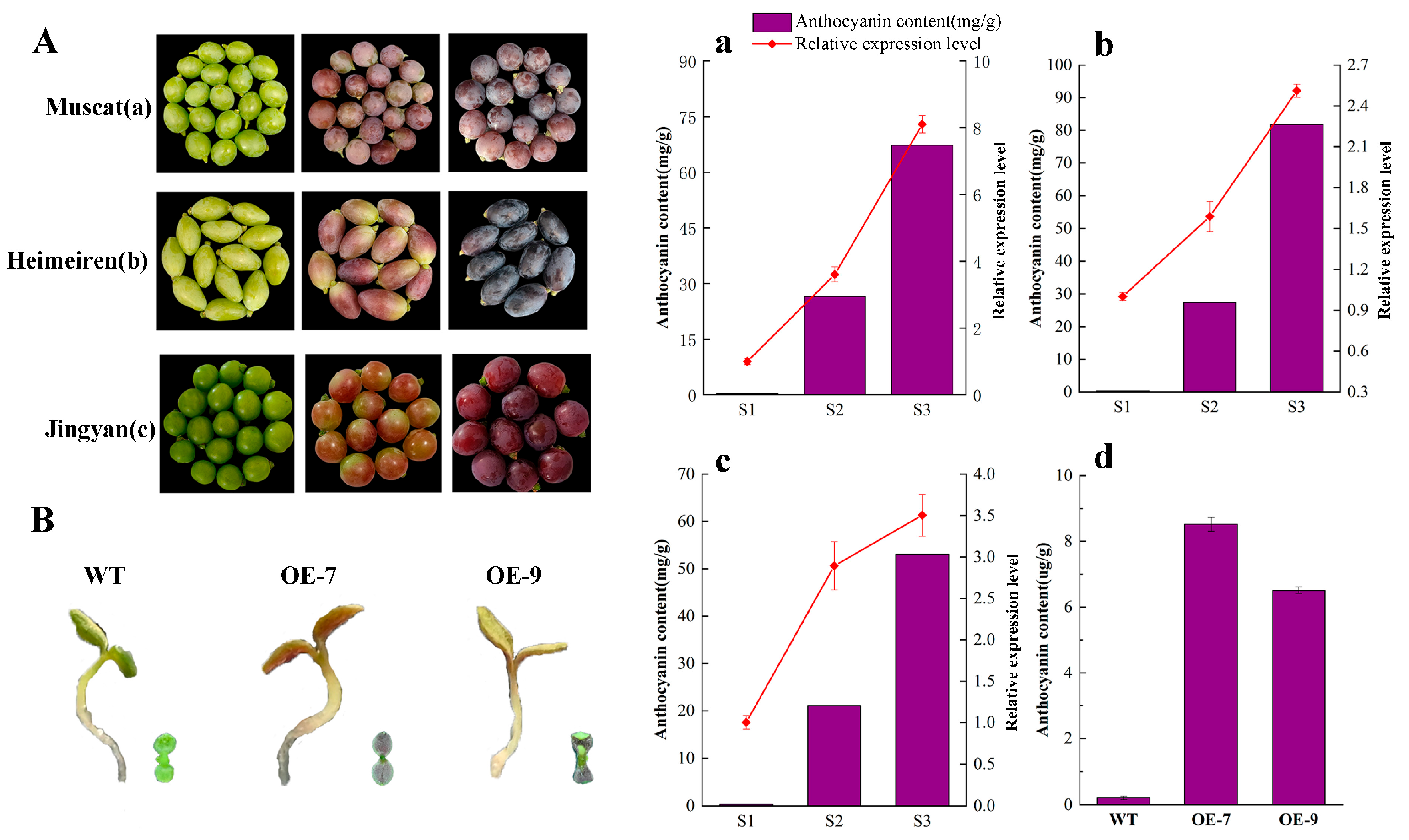 Plants 14 00871 g005