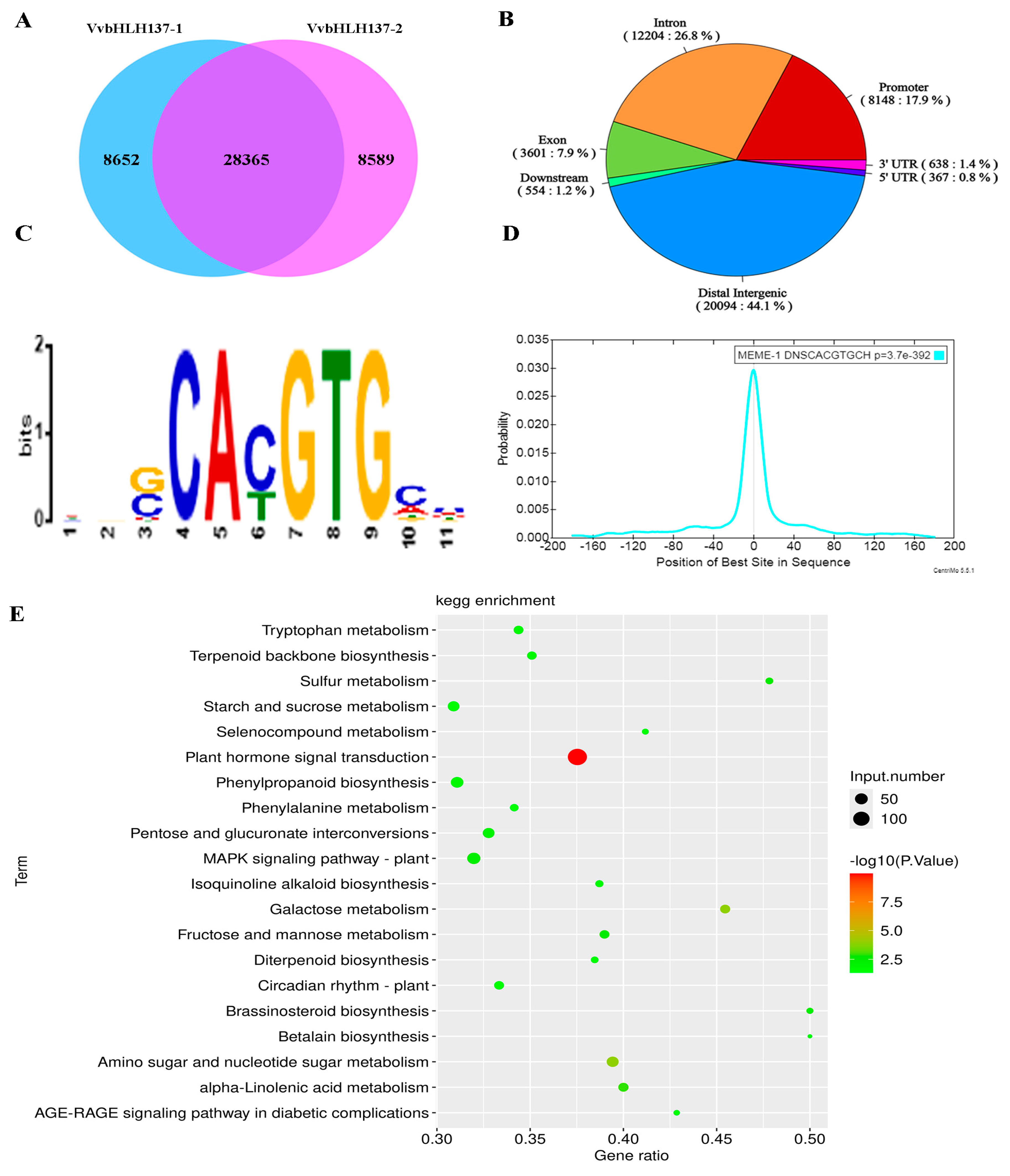 Plants 14 00871 g007