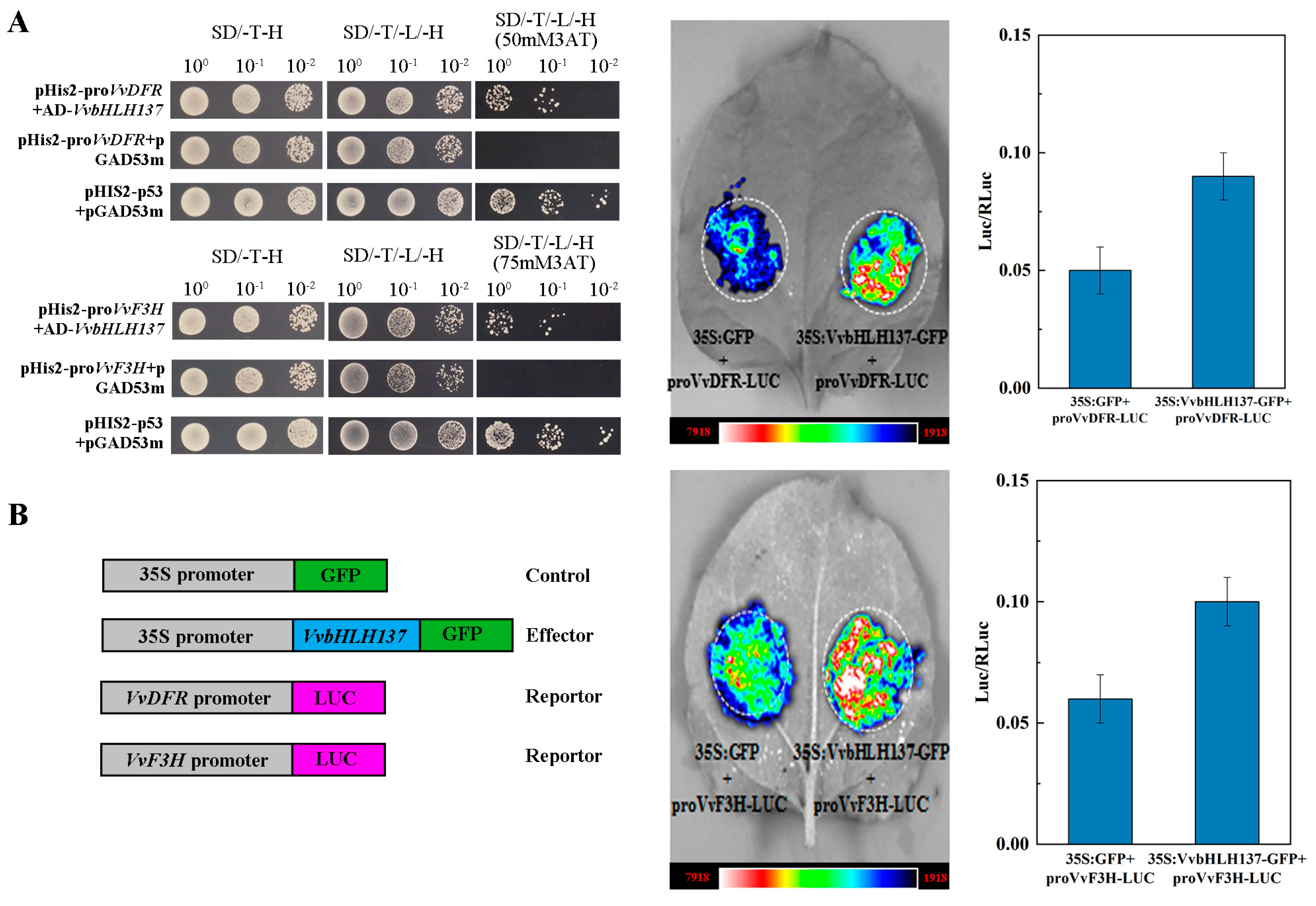 Plants 14 00871 g008
