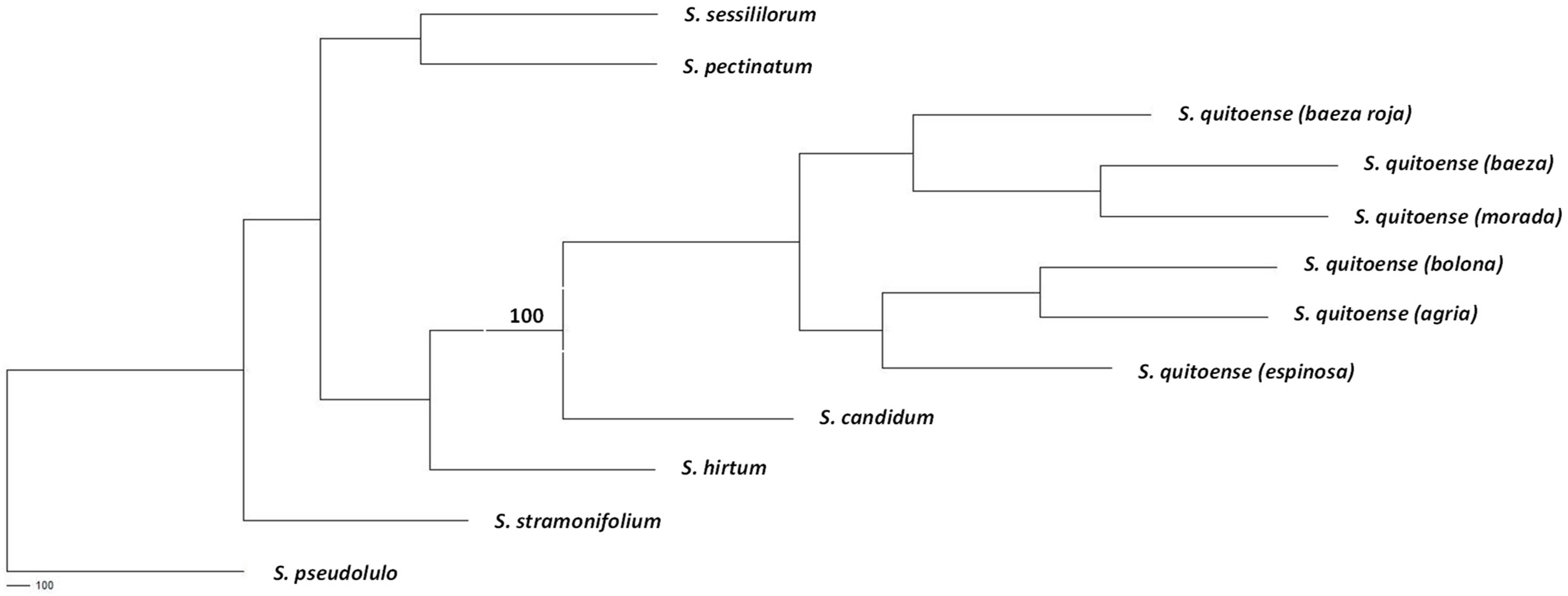 Plants 14 00874 g001 Plants 14 00874 g001