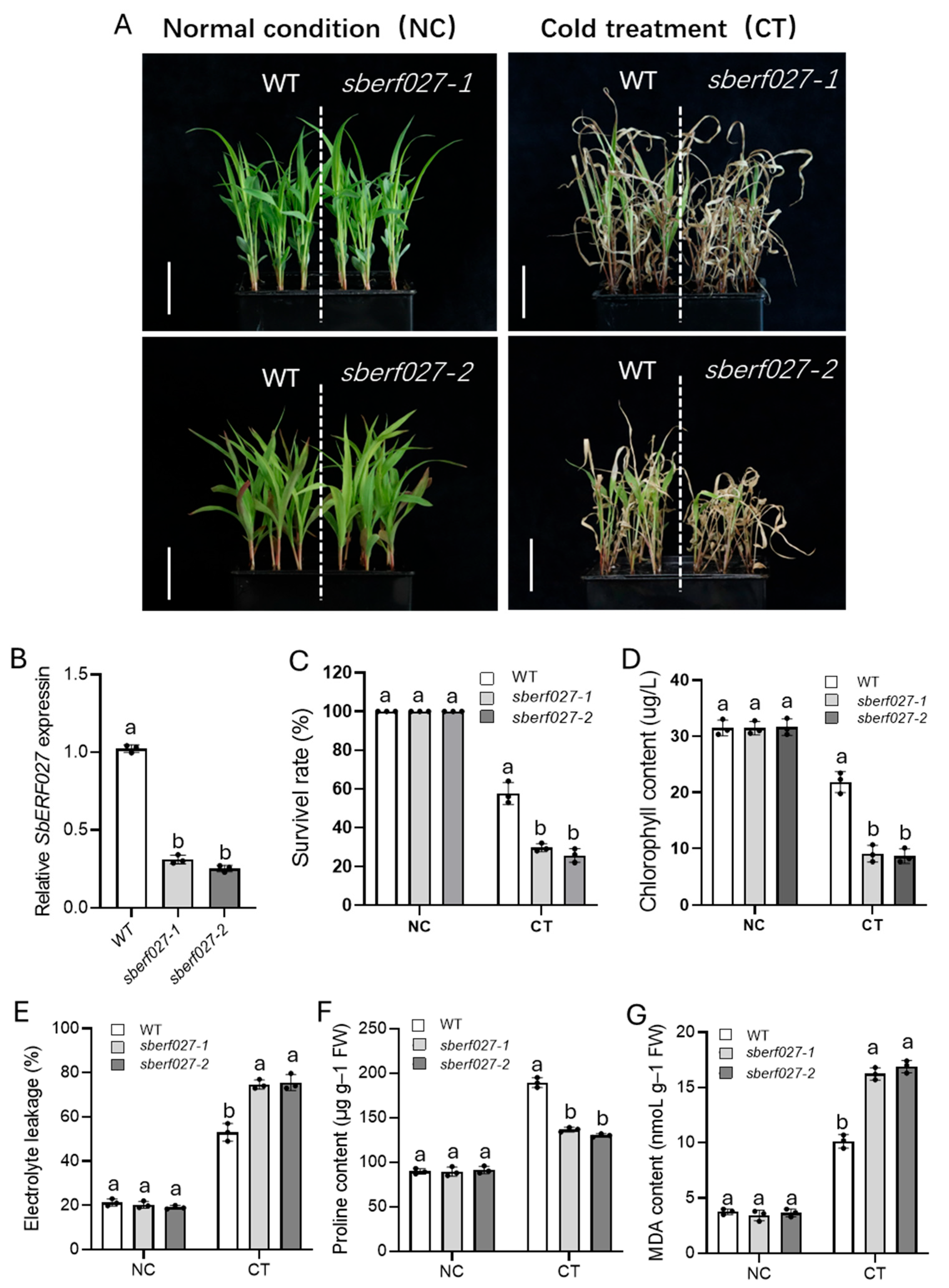 Plants 14 00879 g007