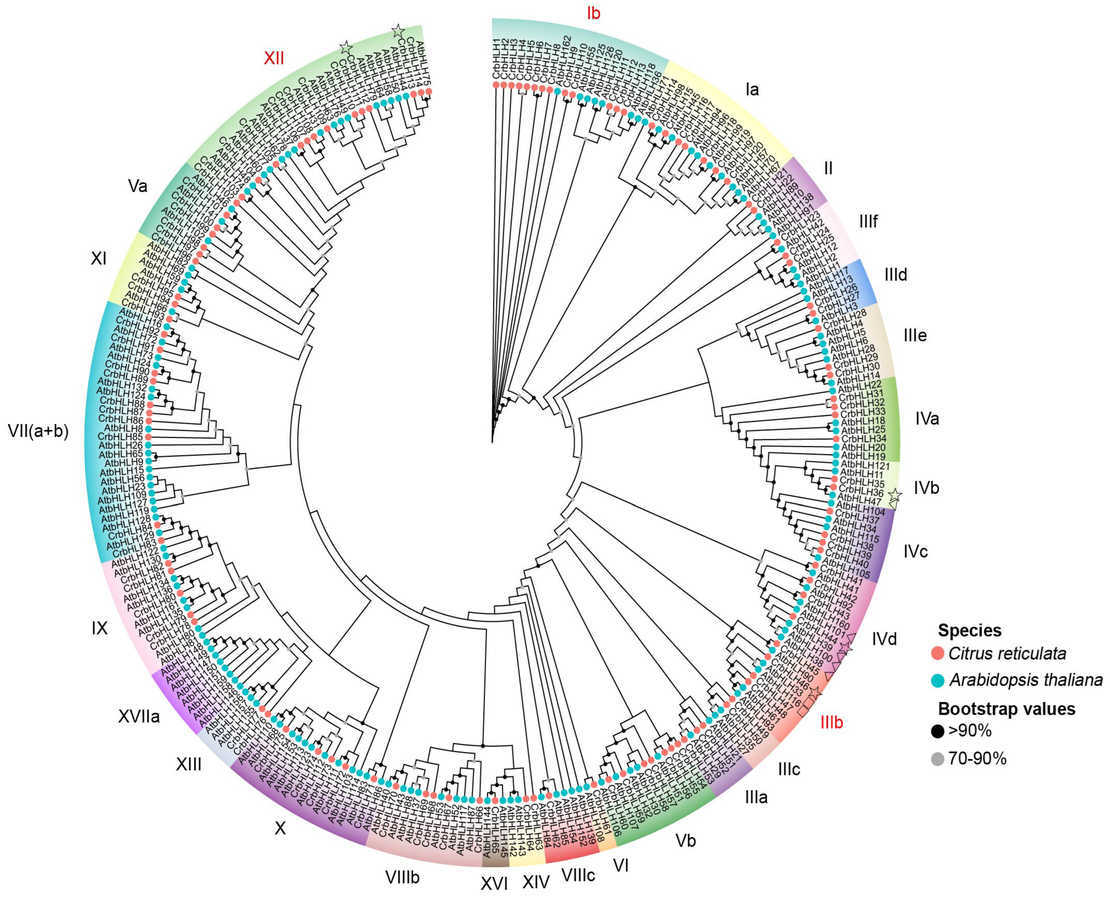 Plants 14 00882 g001