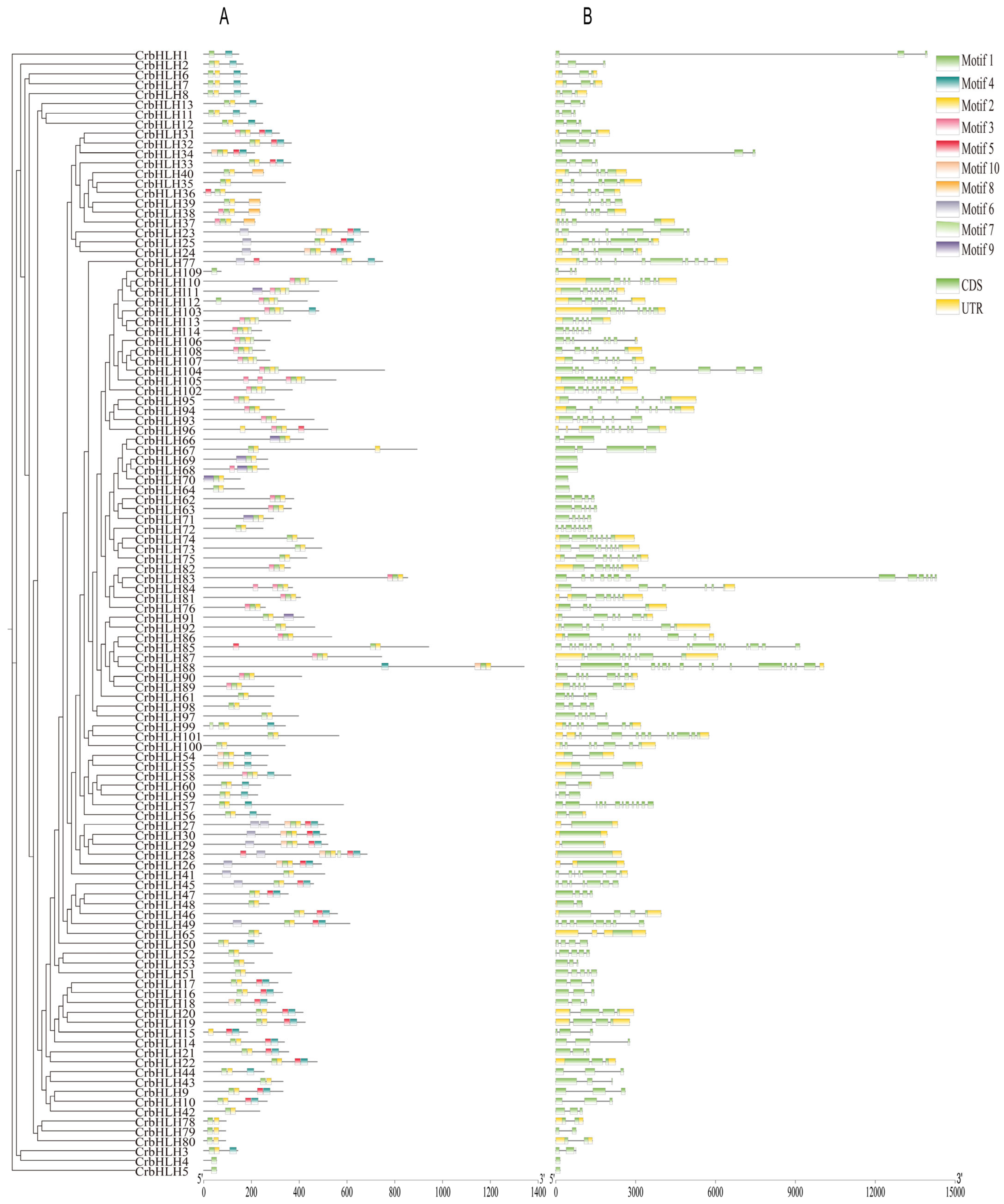 Plants 14 00882 g002