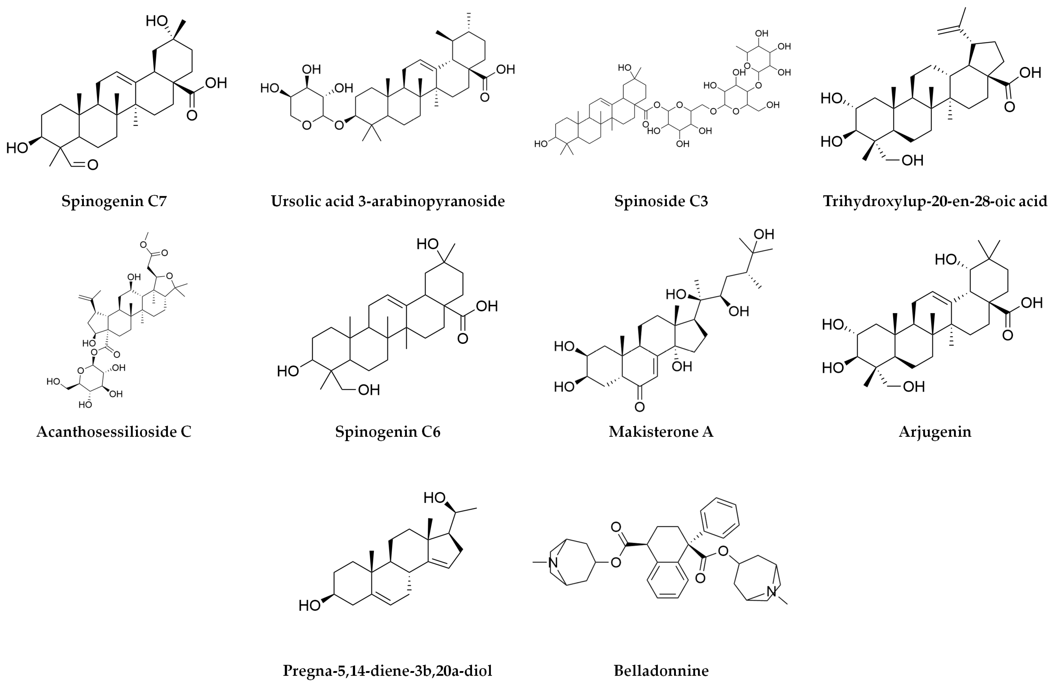 Plants 14 00894 g001