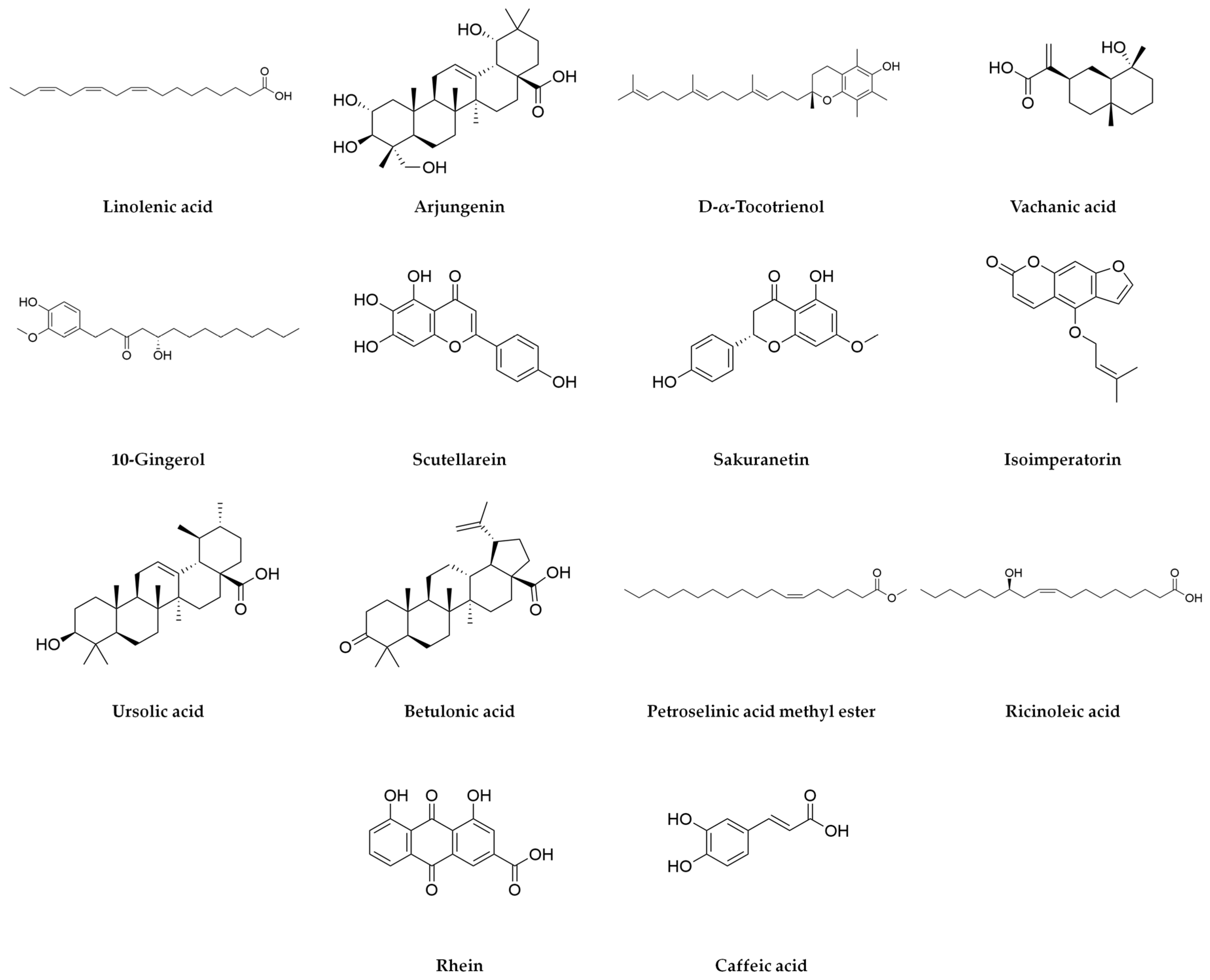 Plants 14 00894 g002