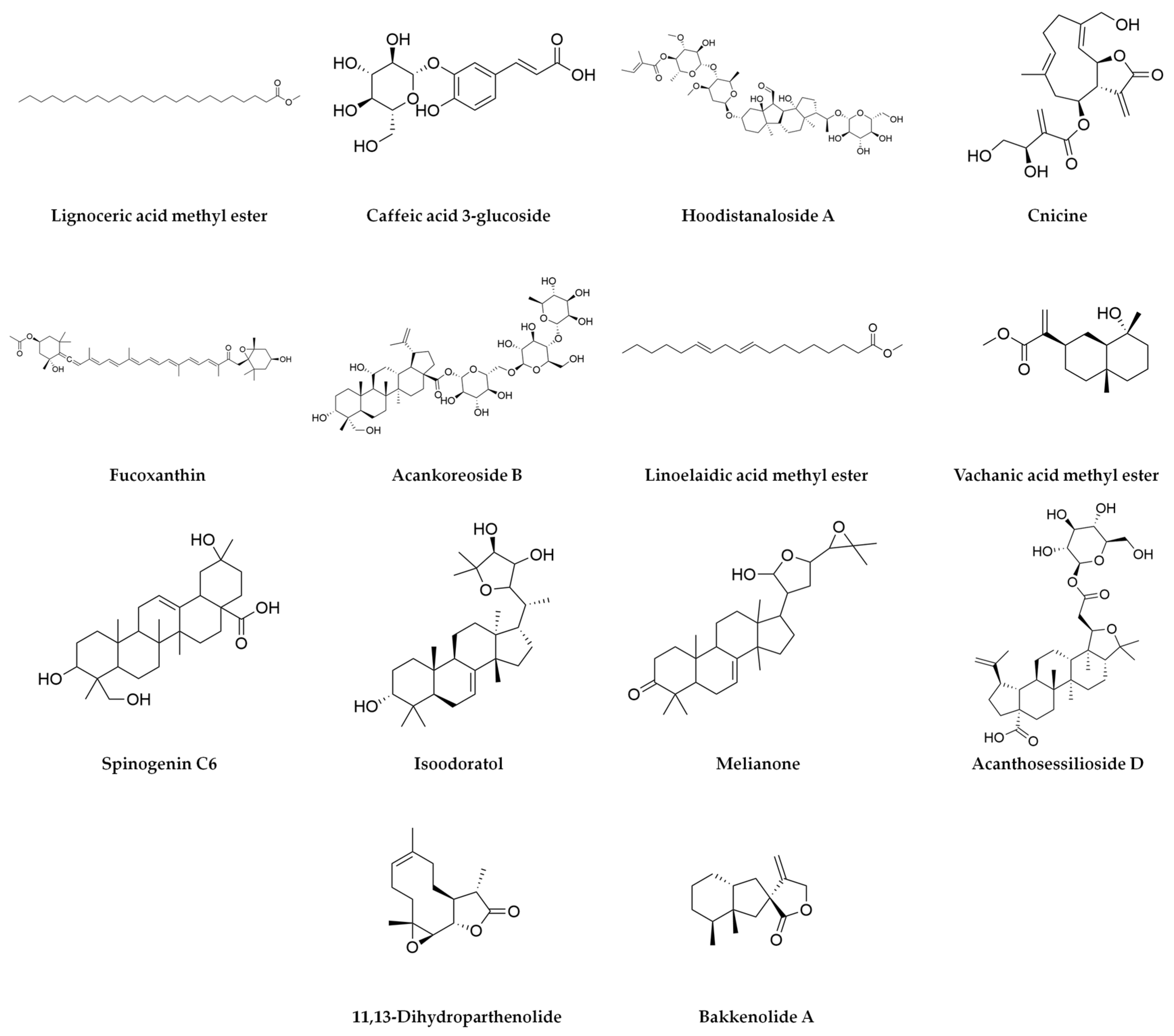 Plants 14 00894 g003