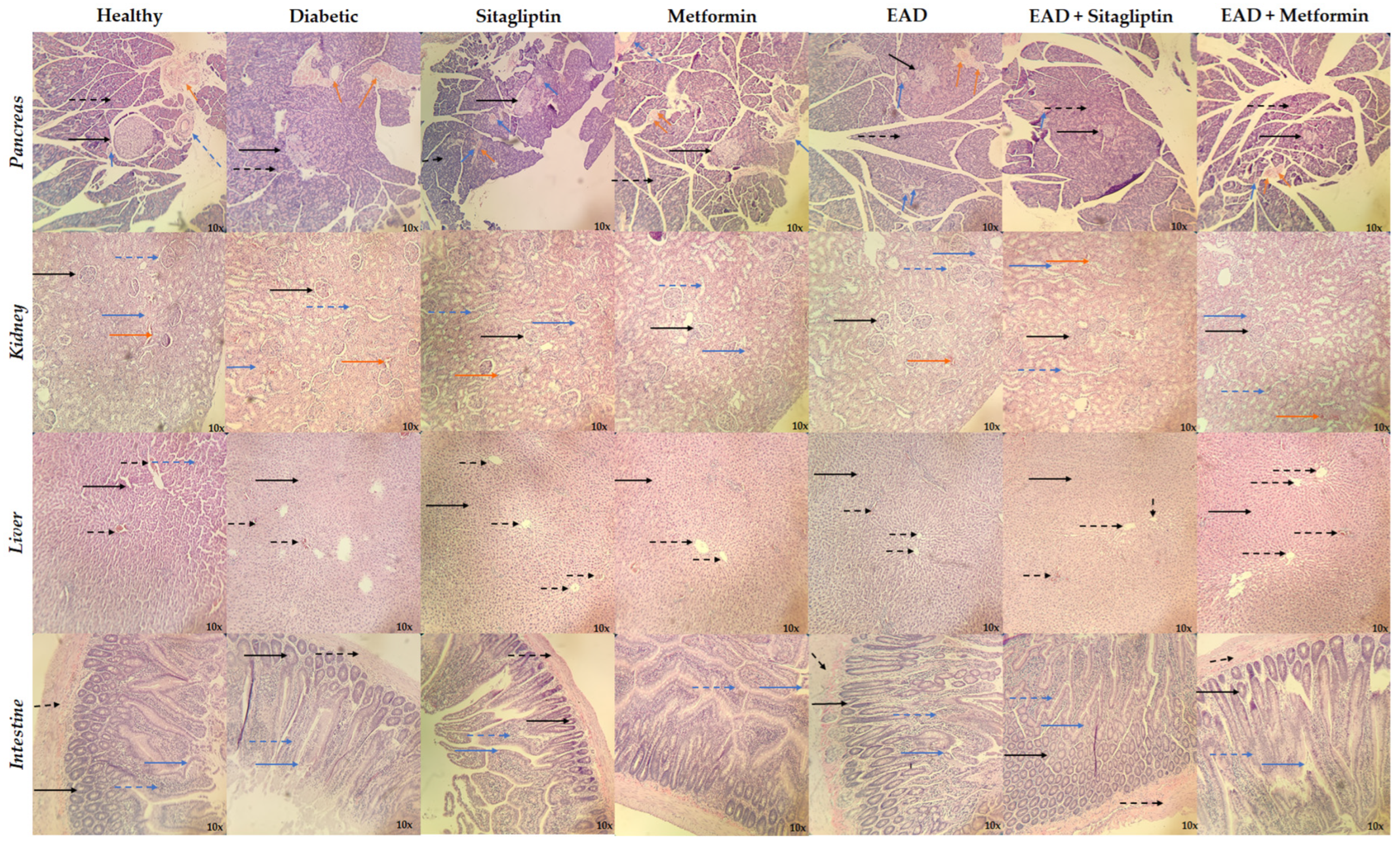 Plants 14 00894 g005