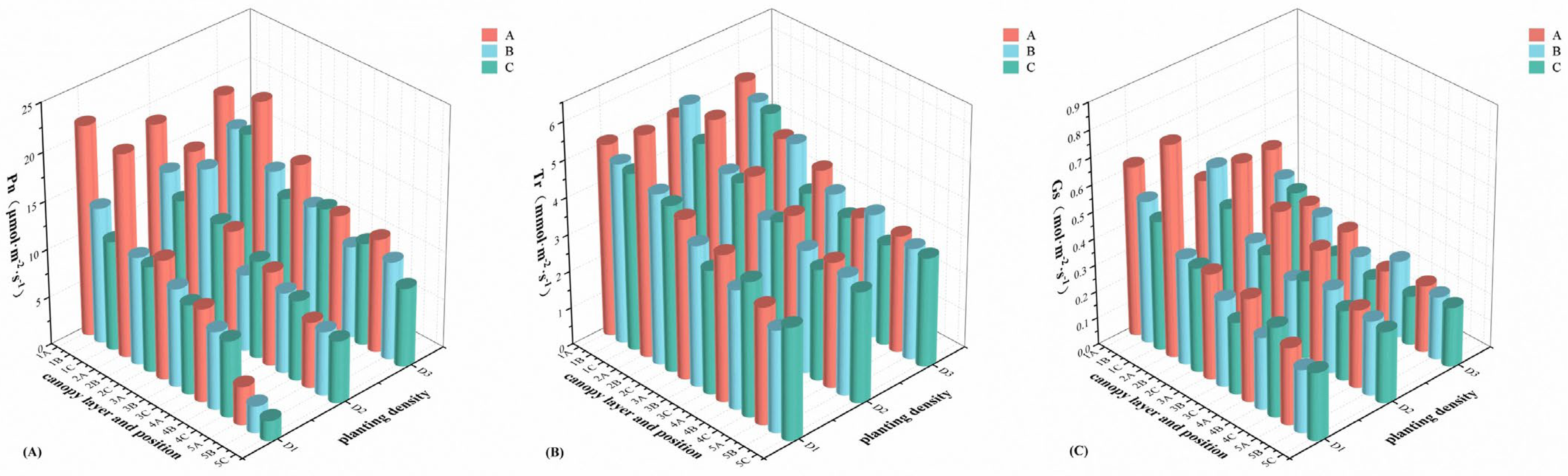 Plants 14 00898 g001