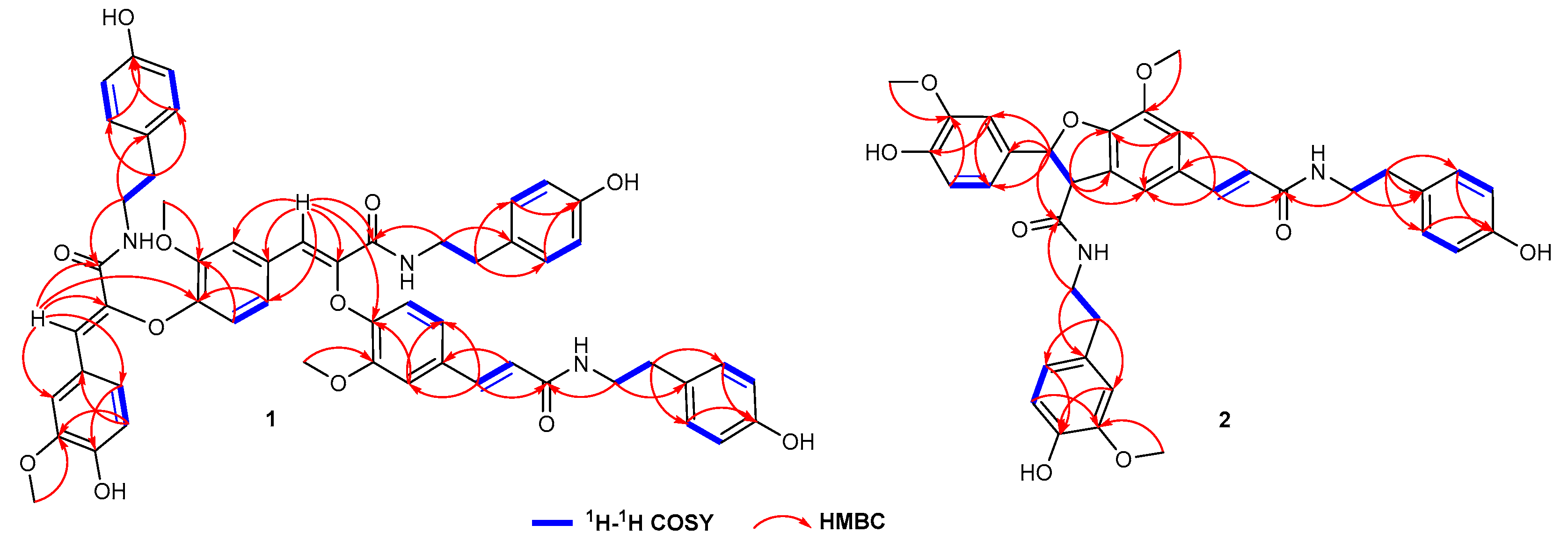 Plants 14 00916 g004