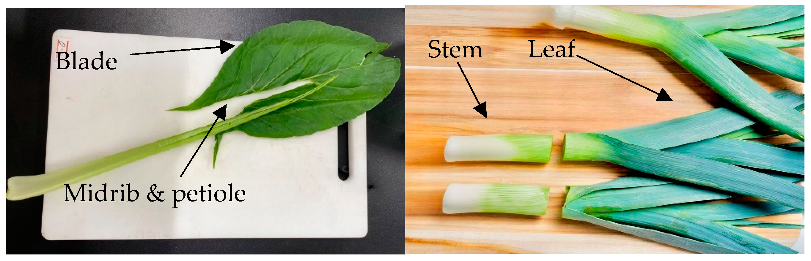 Plants 14 00917 g009