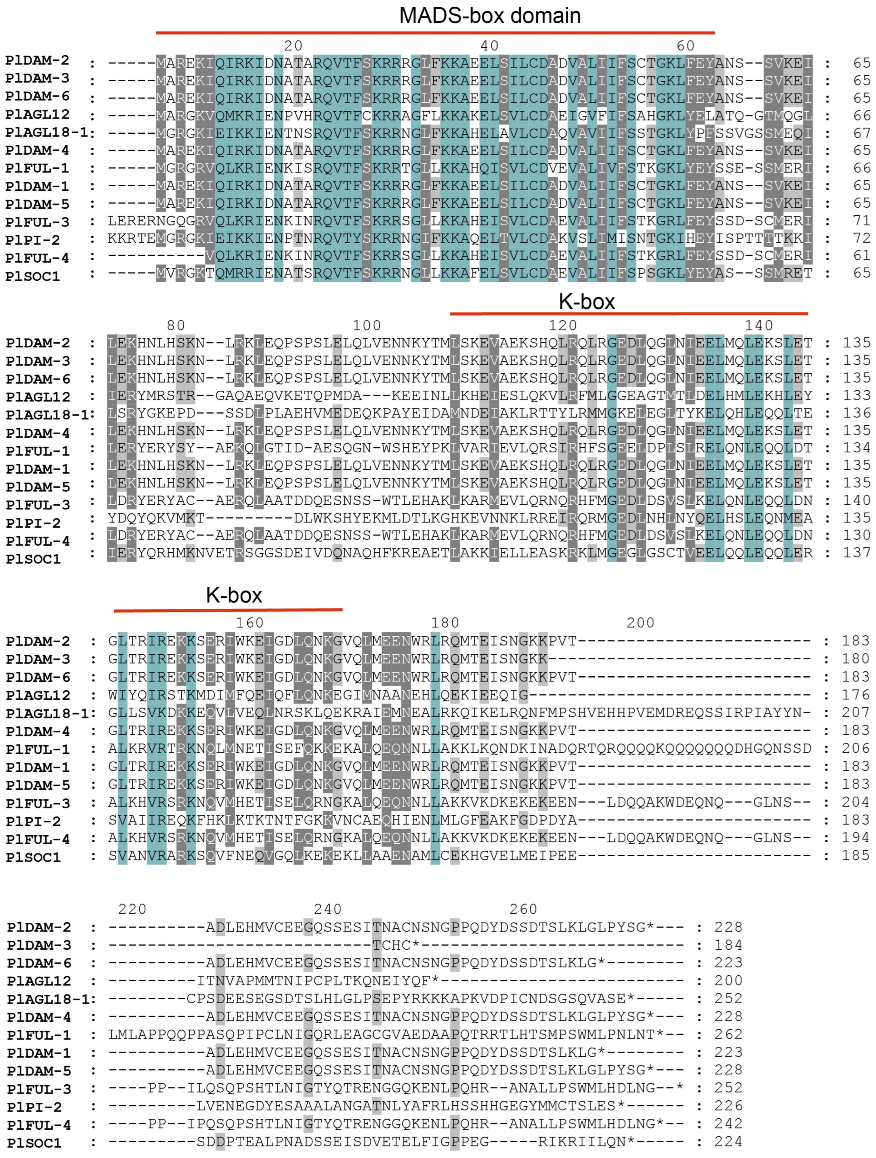Plants 14 00928 g002