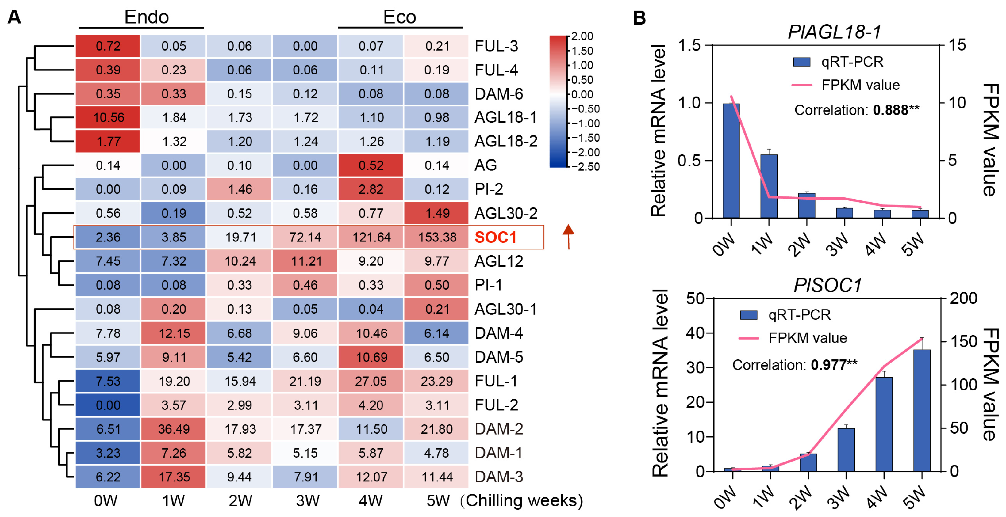 Plants 14 00928 g005