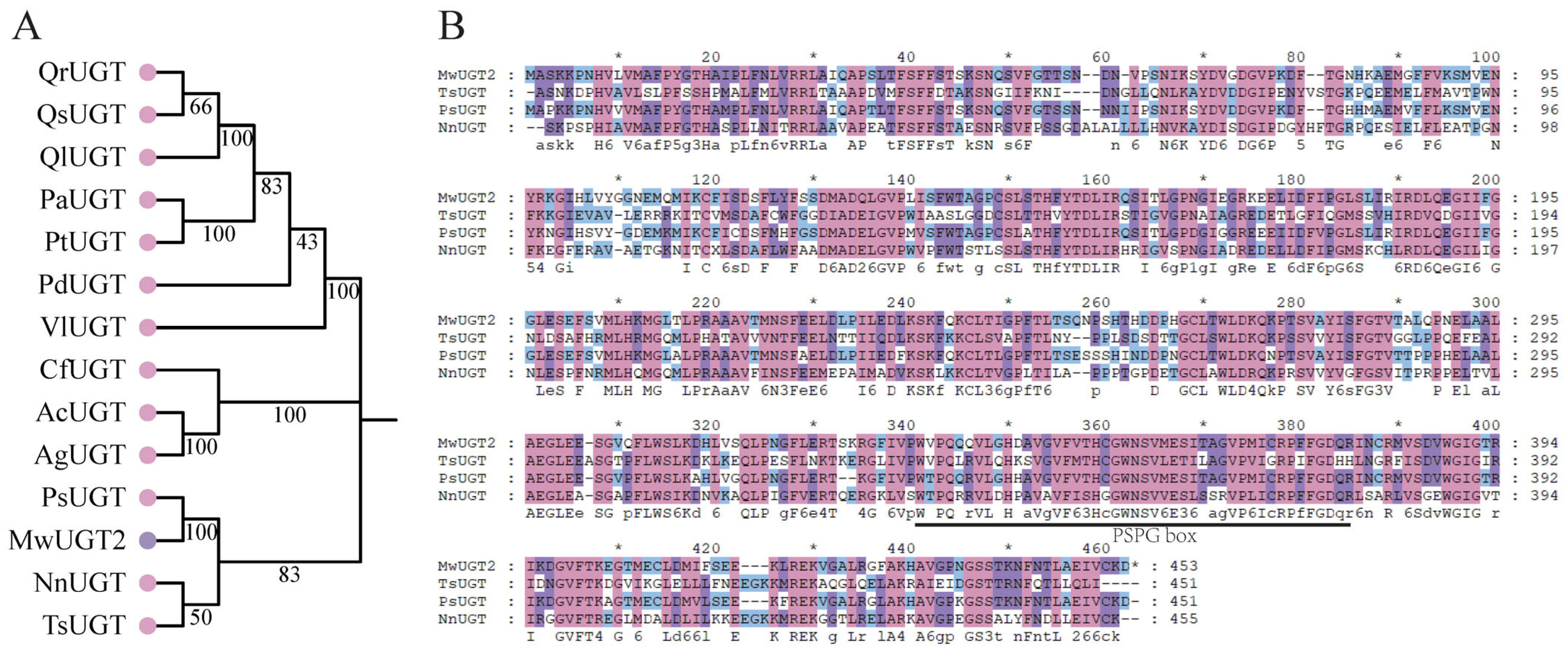 Plants 14 00944 g002