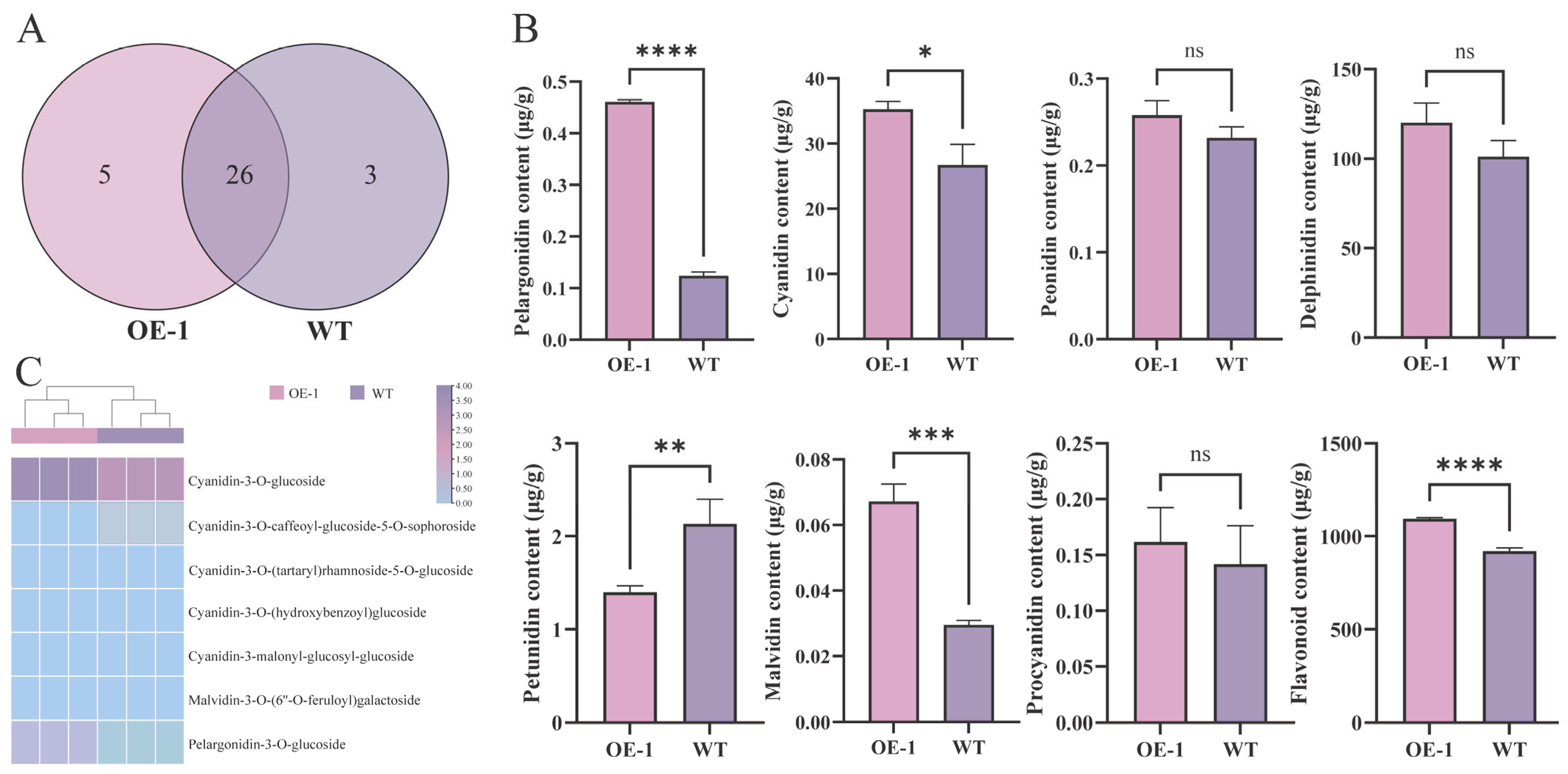Plants 14 00944 g005