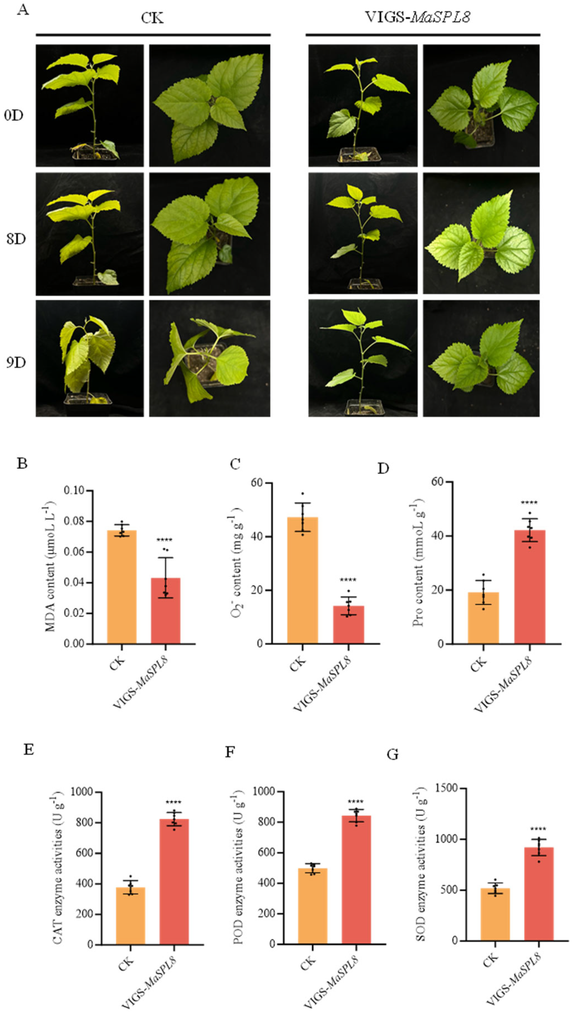 Plants 14 00950 g004