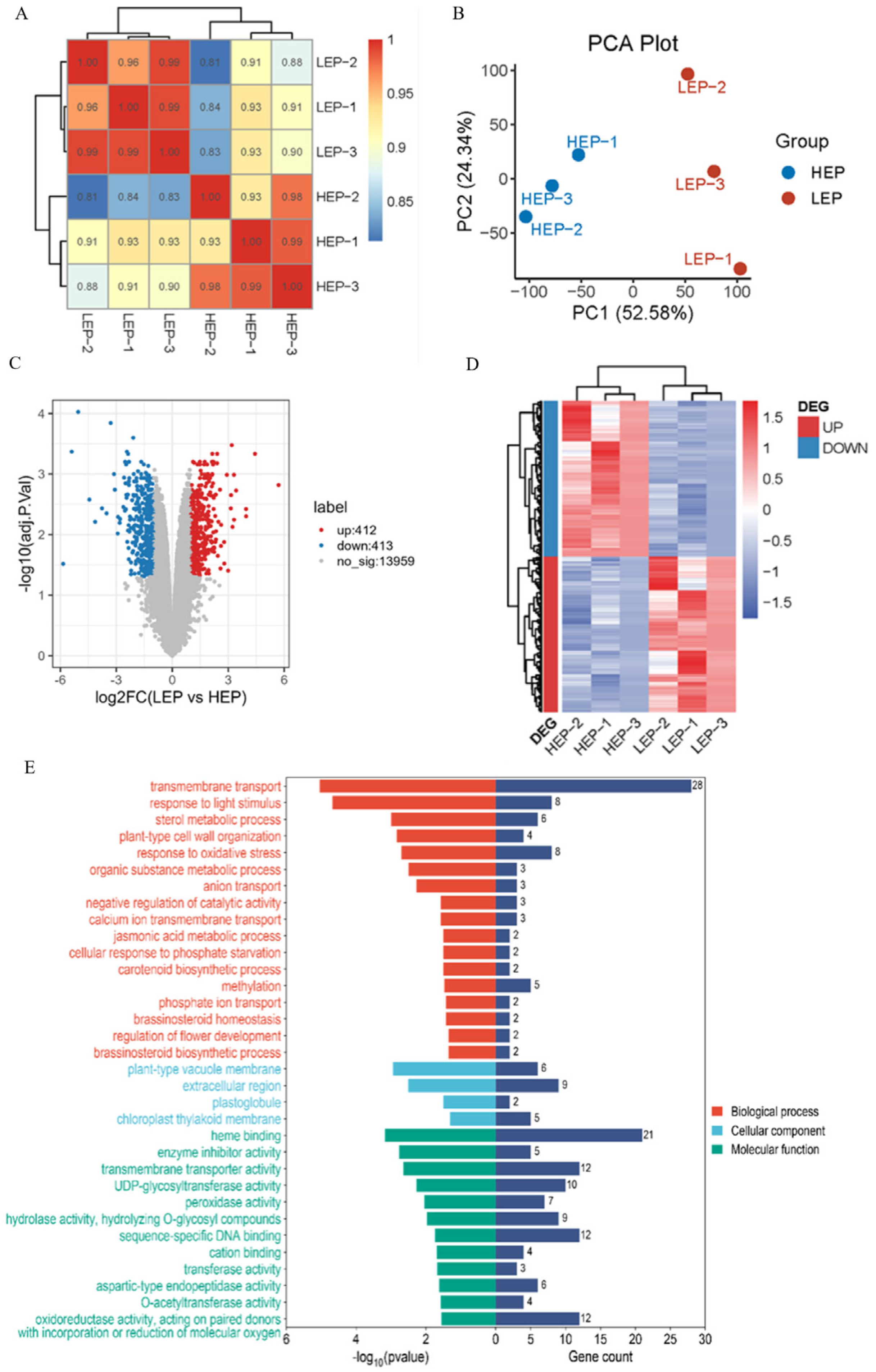 Plants 14 00950 g006