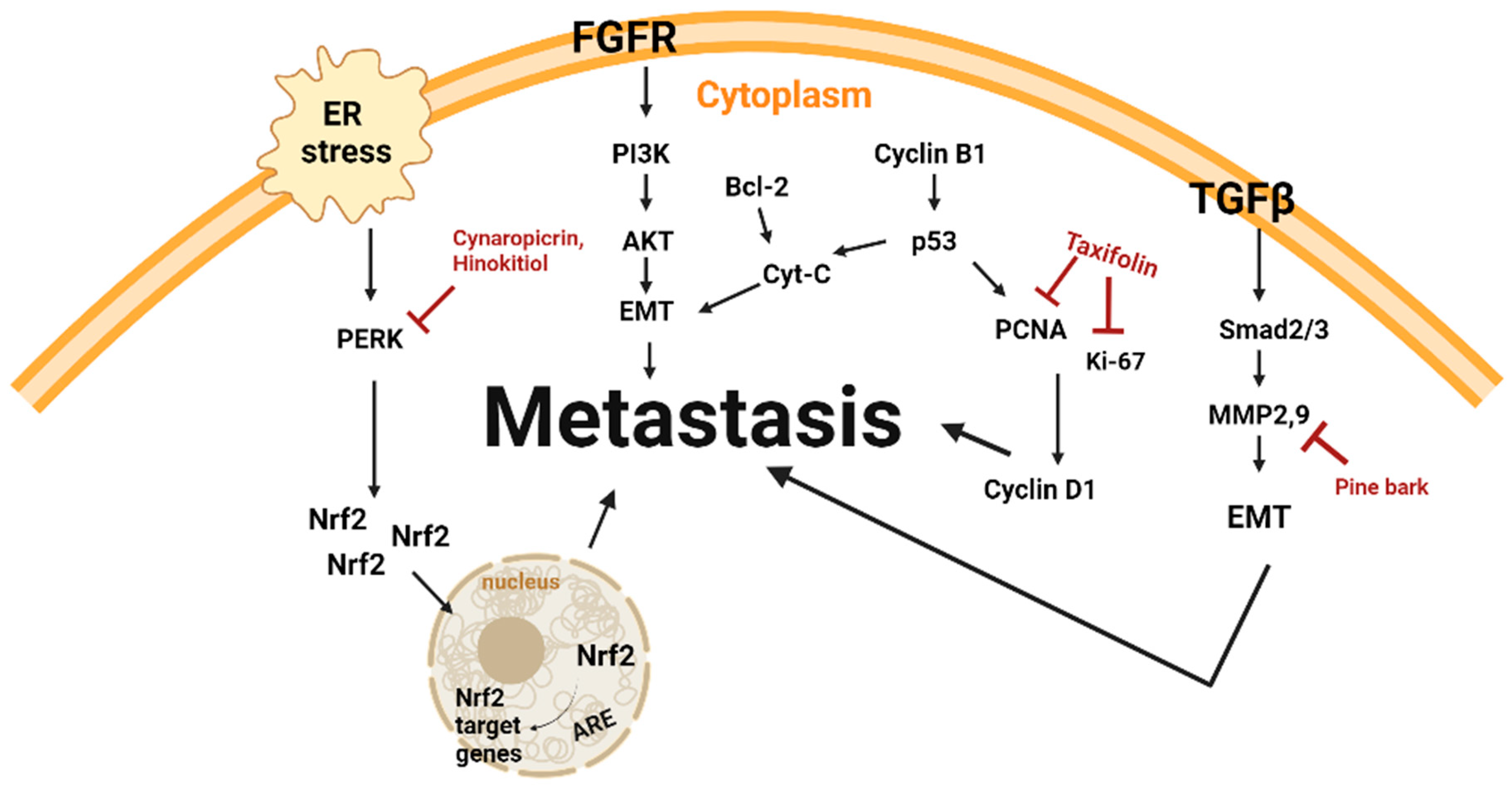 Plants 14 00951 g003