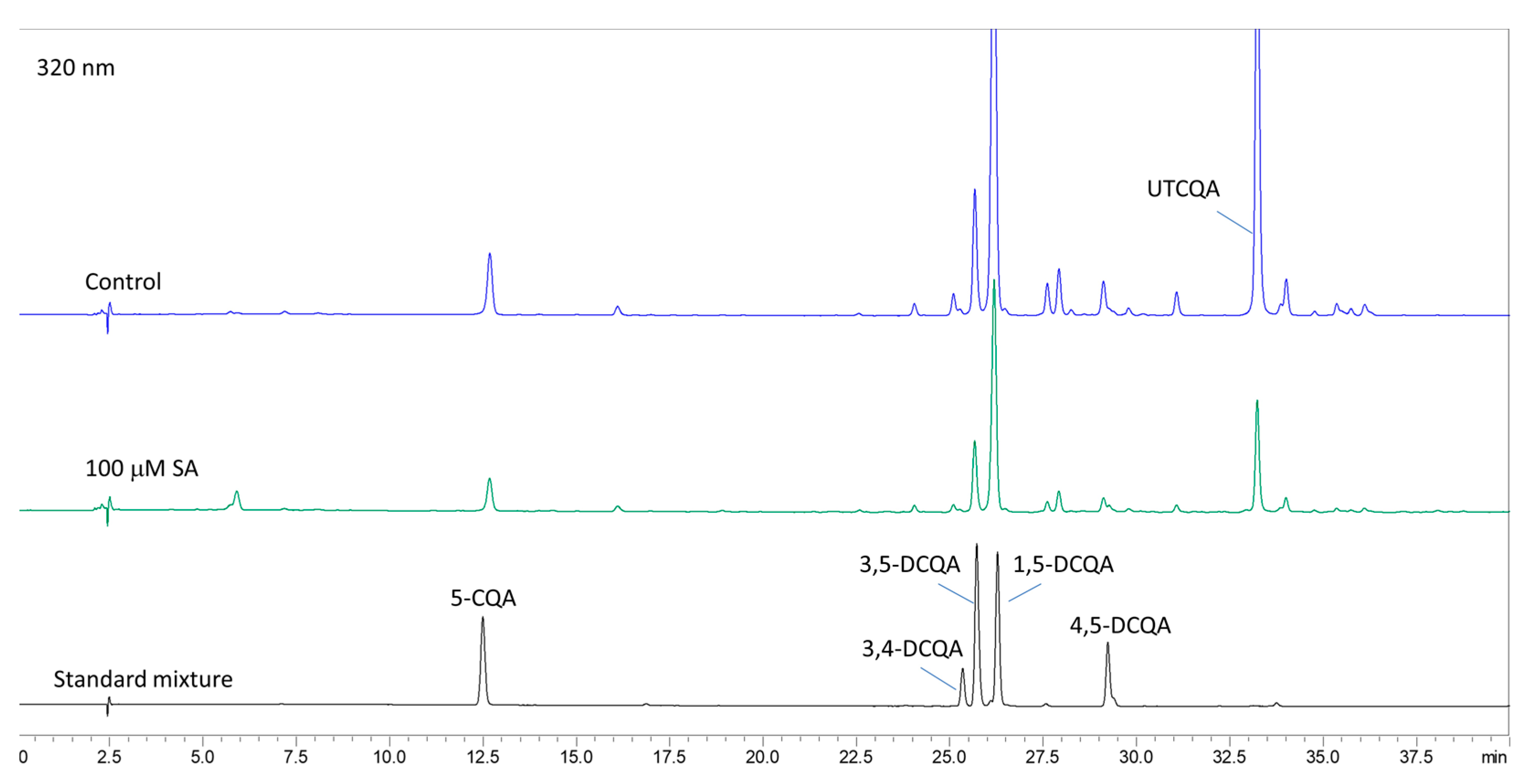 Plants 14 00967 g011