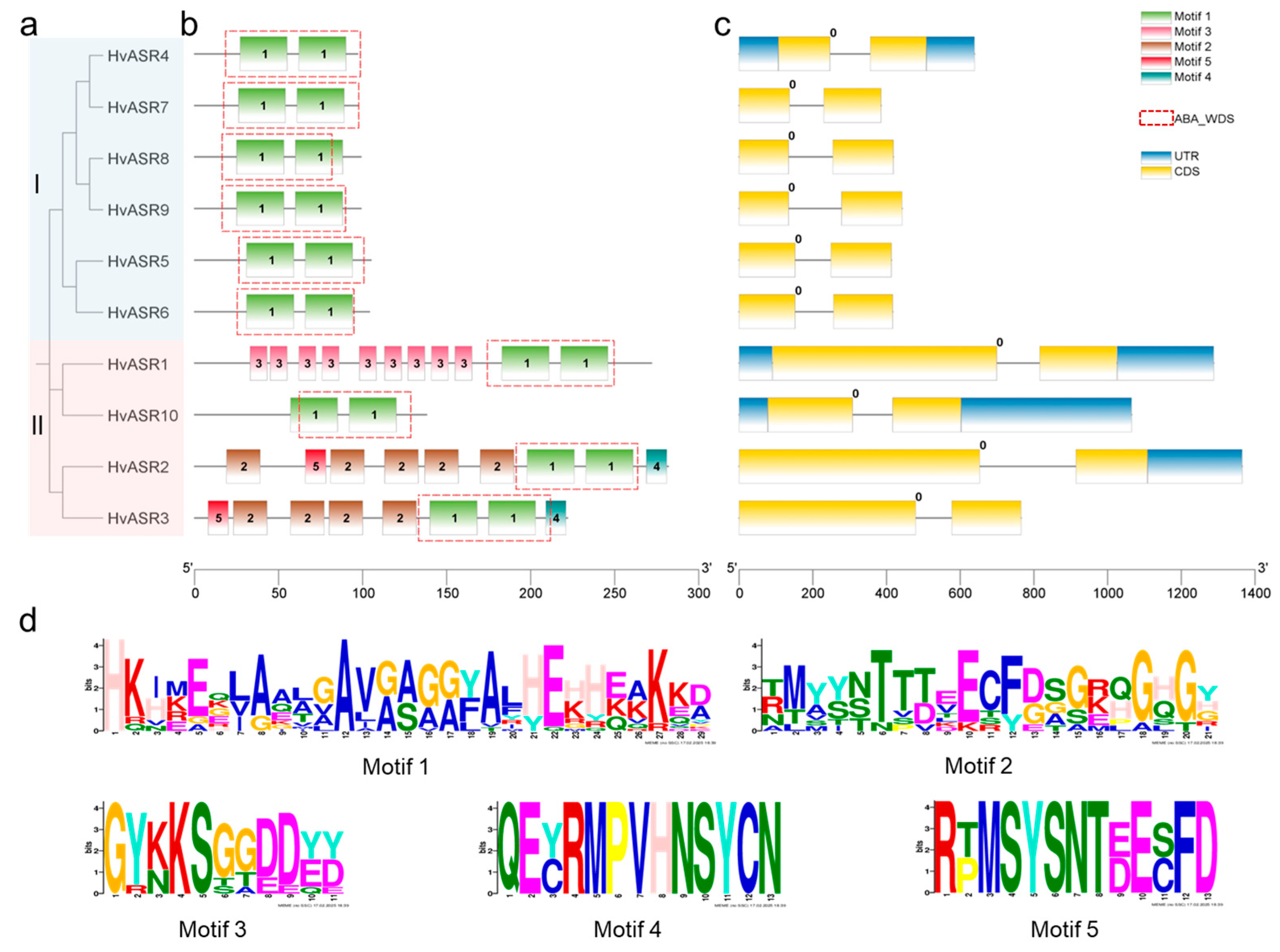 Plants 14 00970 g002