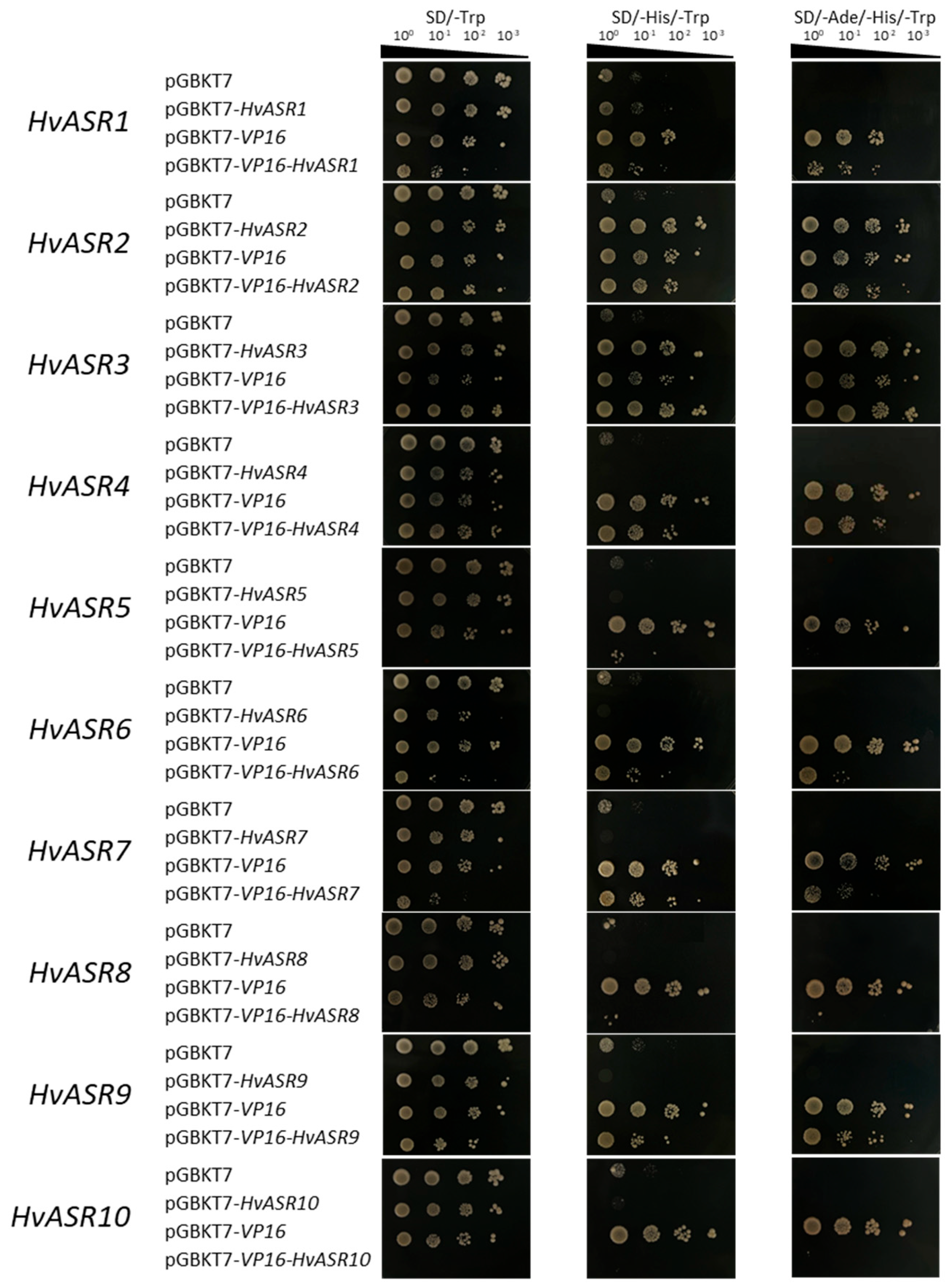 Plants 14 00970 g009