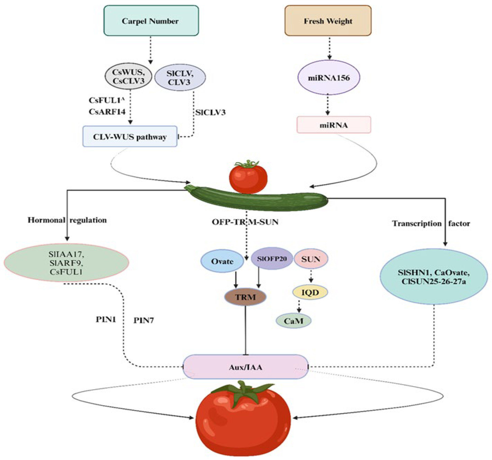 Plants 14 00974 g001