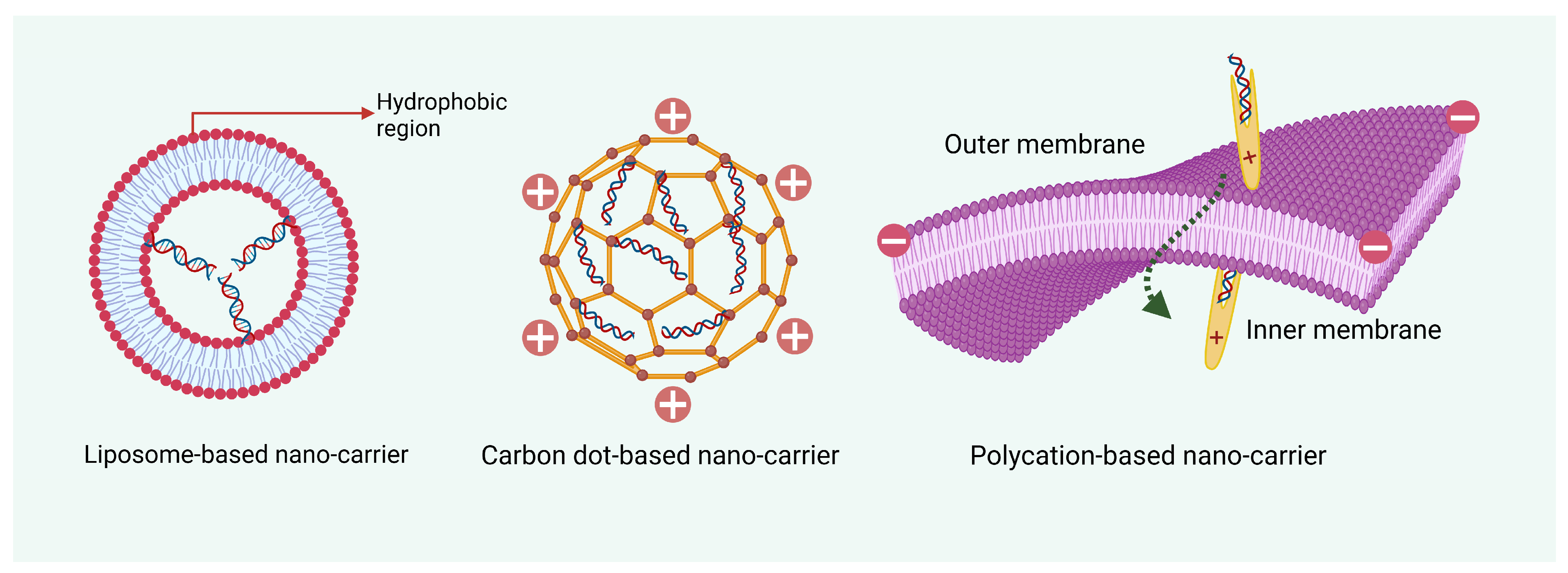 Plants 14 00977 g003 Plants 14 00977 g003