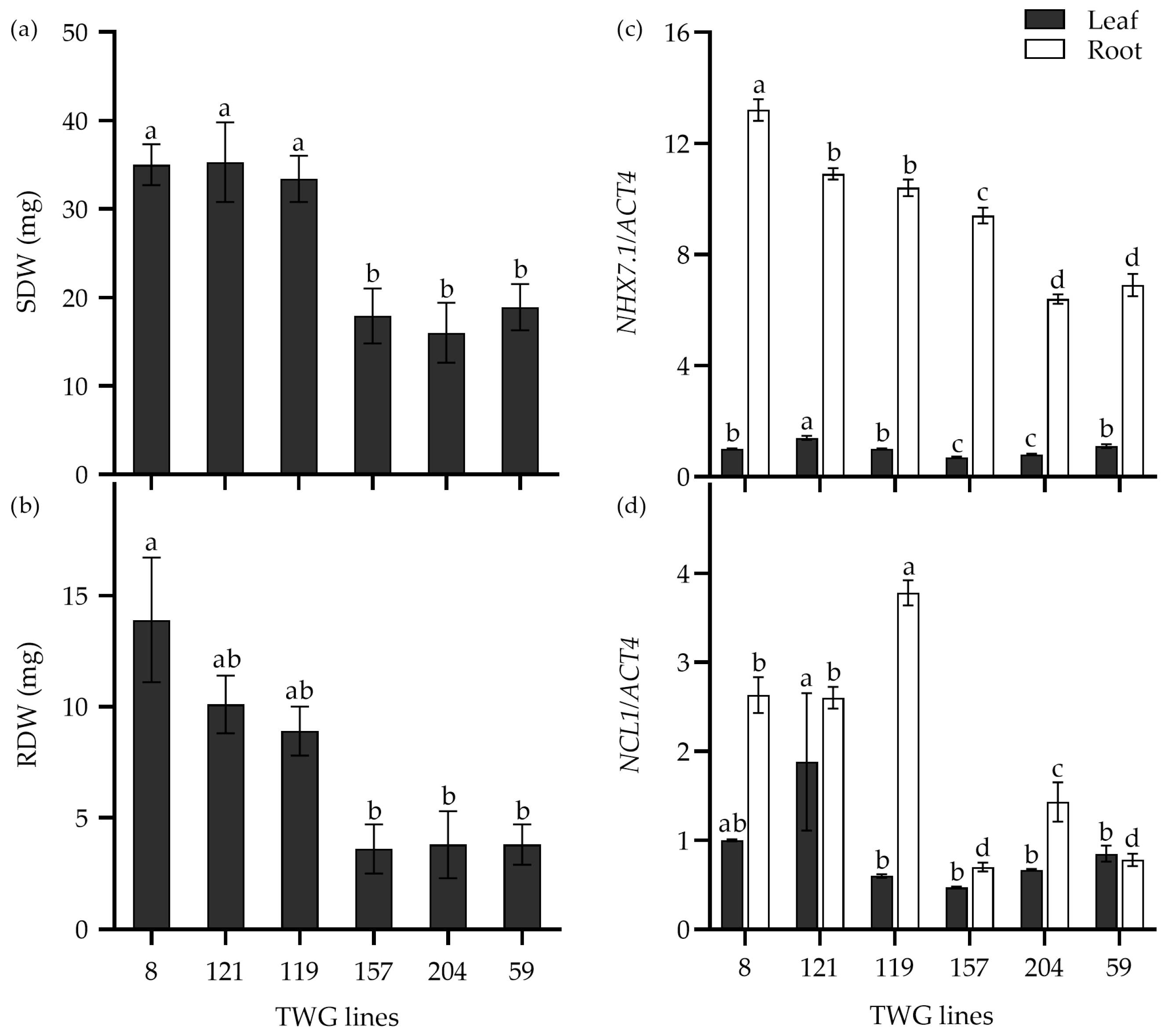 Plants 14 00983 g007
