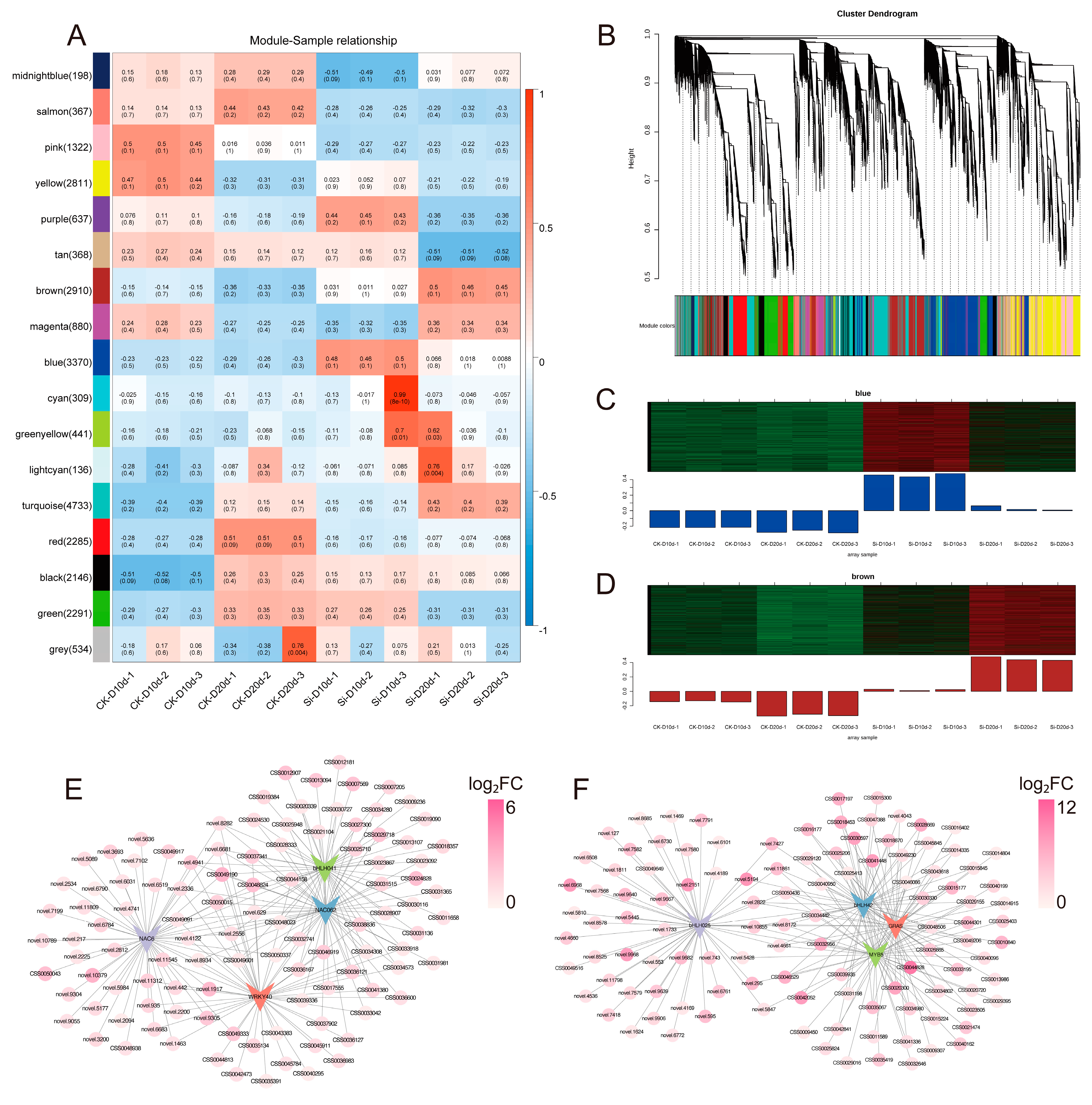 Plants 14 00989 g005