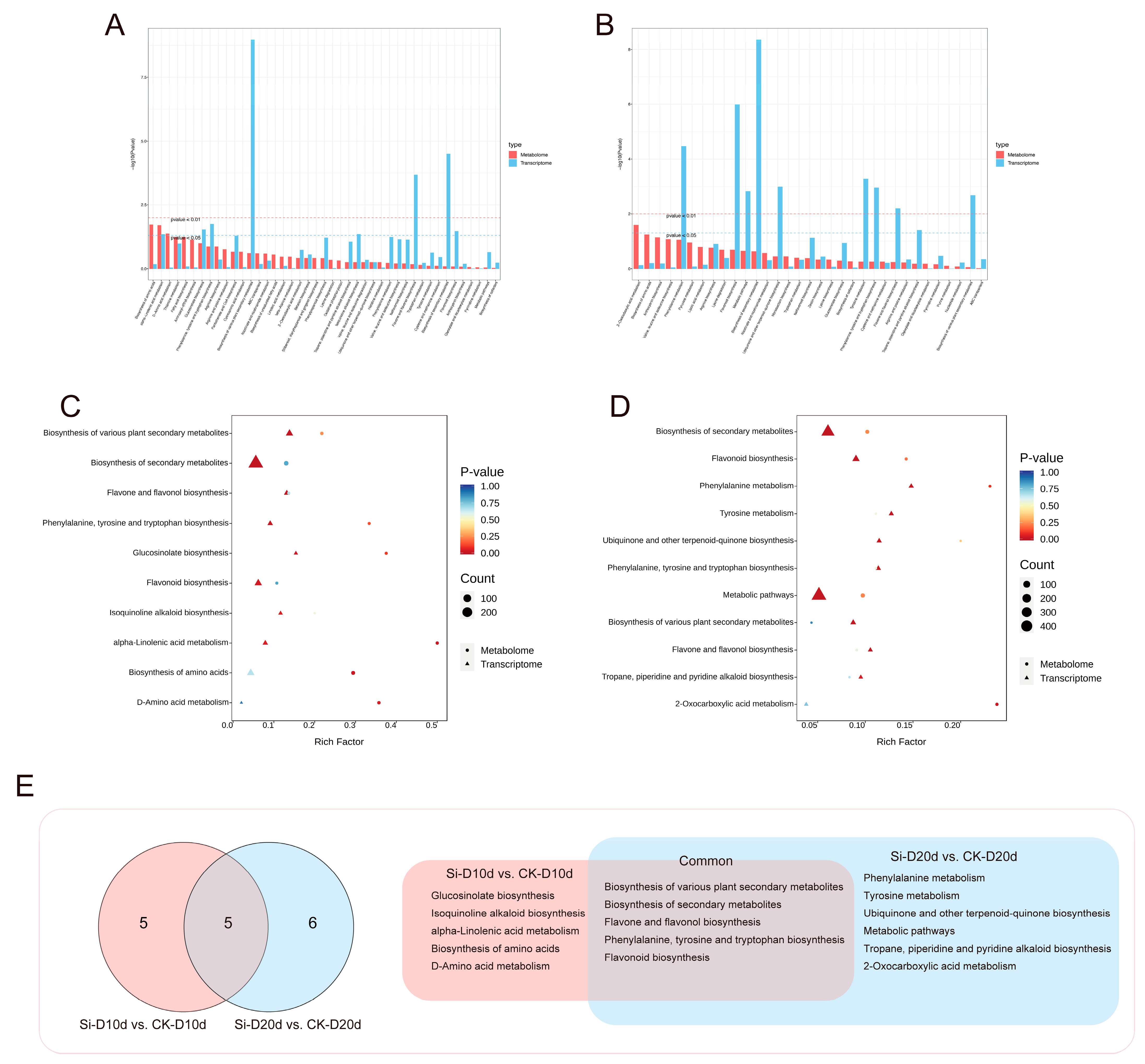 Plants 14 00989 g007