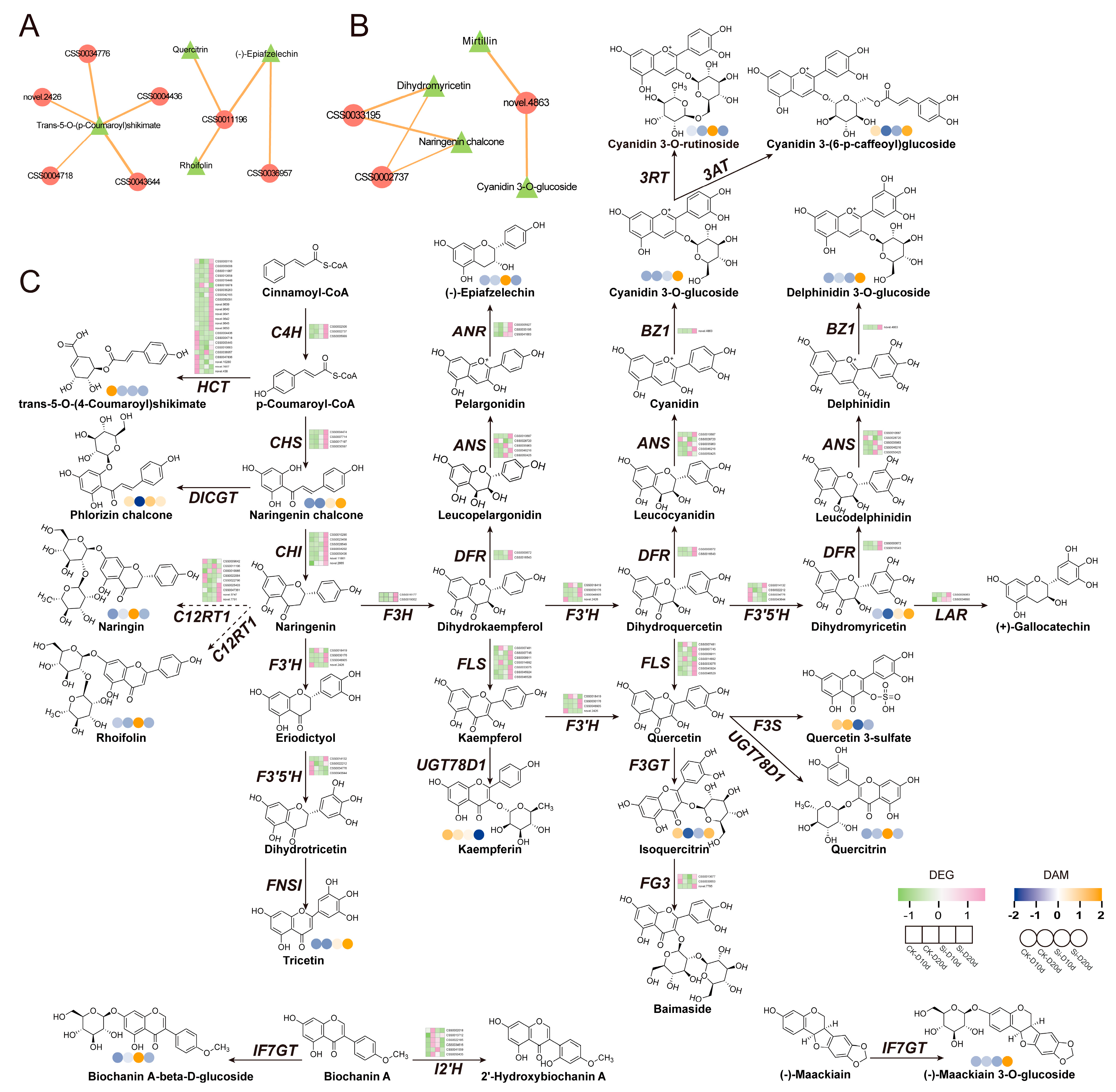 Plants 14 00989 g008