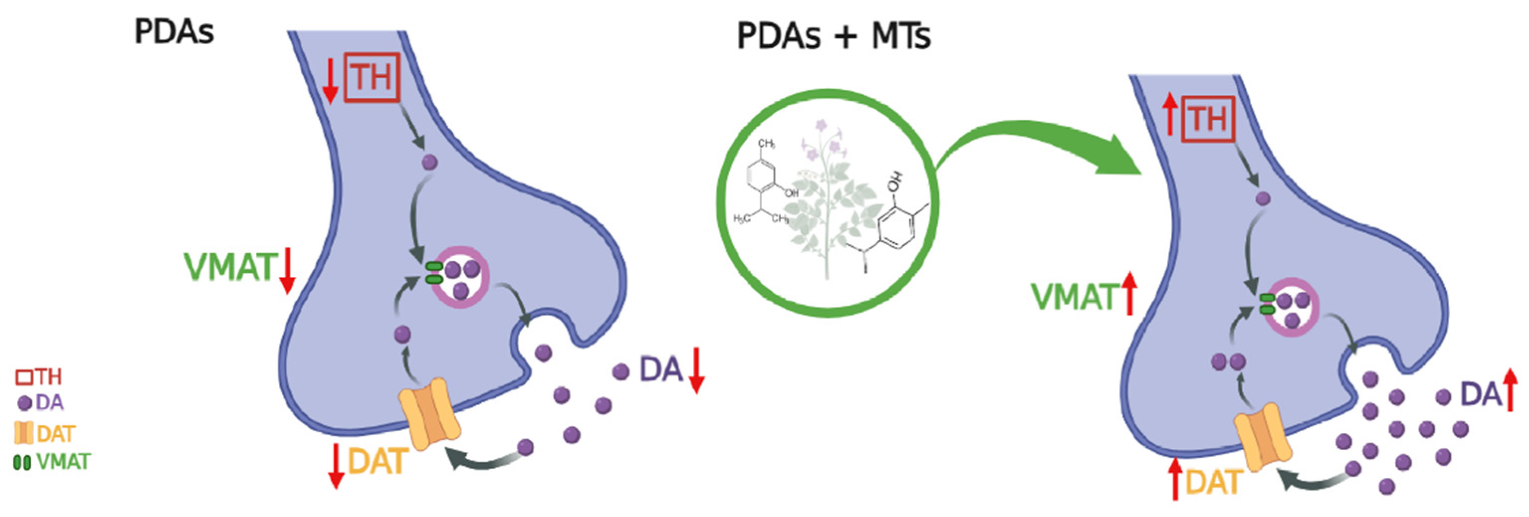 Plants 14 00999 g006