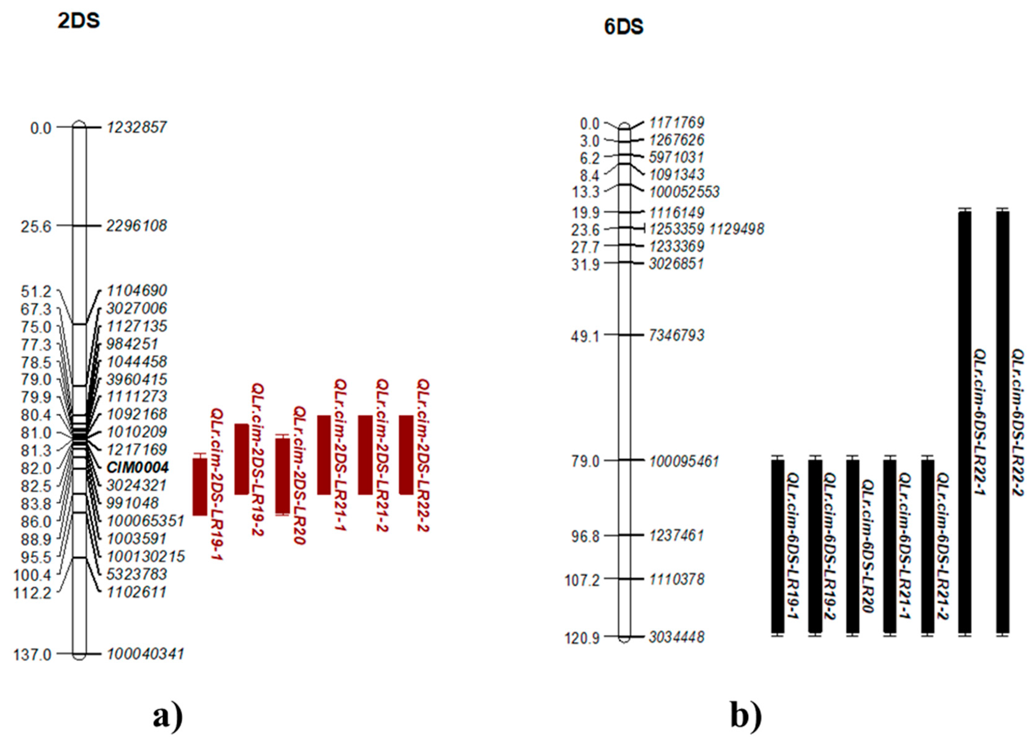 Plants 14 01007 g004 Plants 14 01007 g004