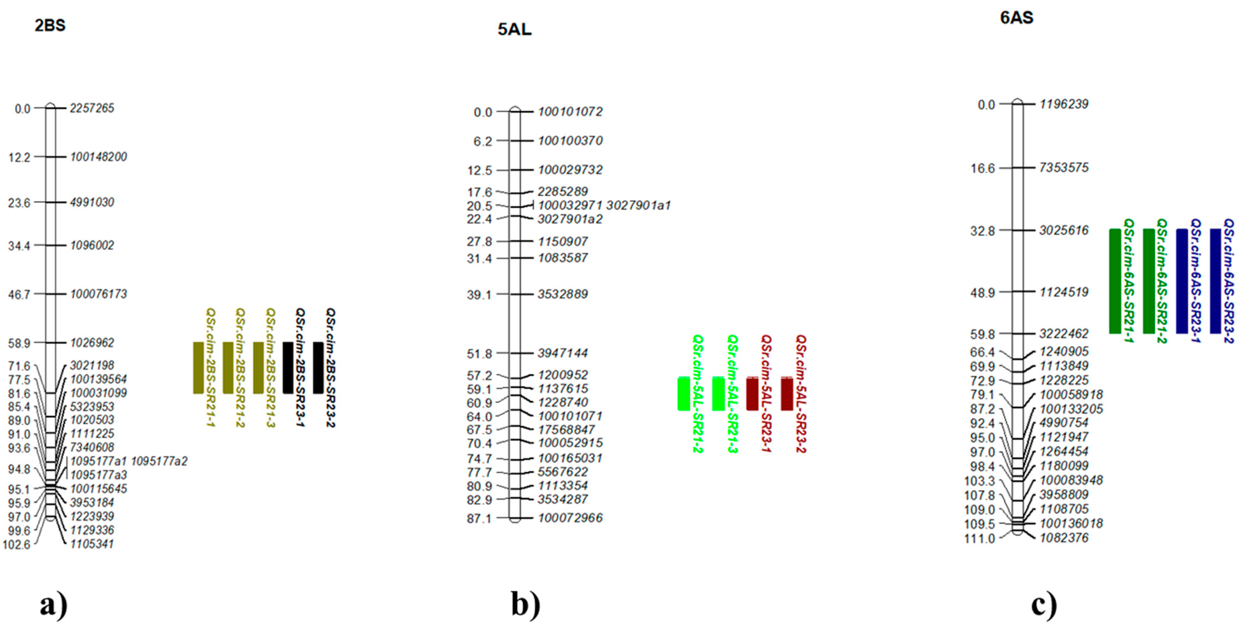 Plants 14 01007 g006 Plants 14 01007 g006