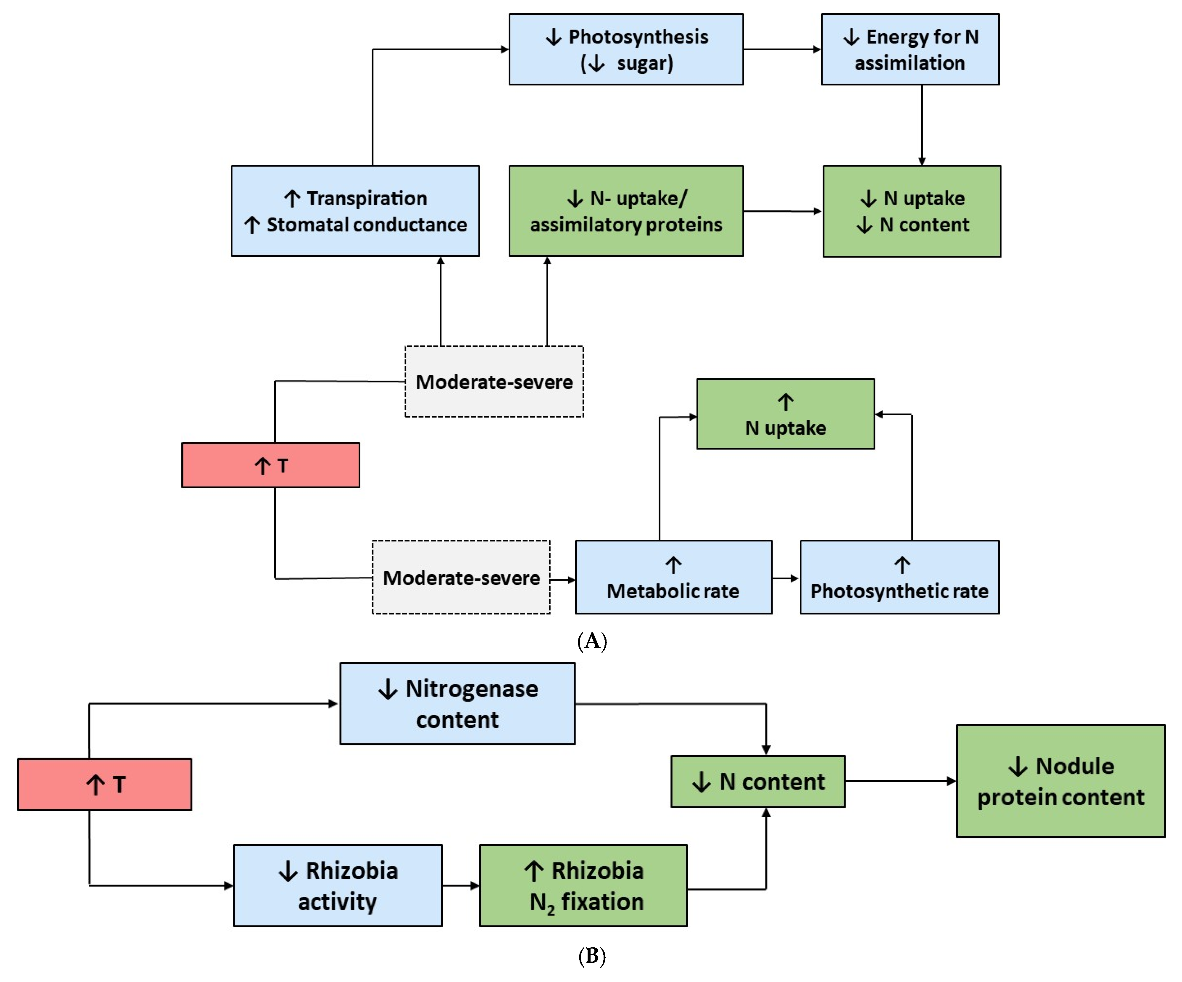 Plants 14 01025 g002