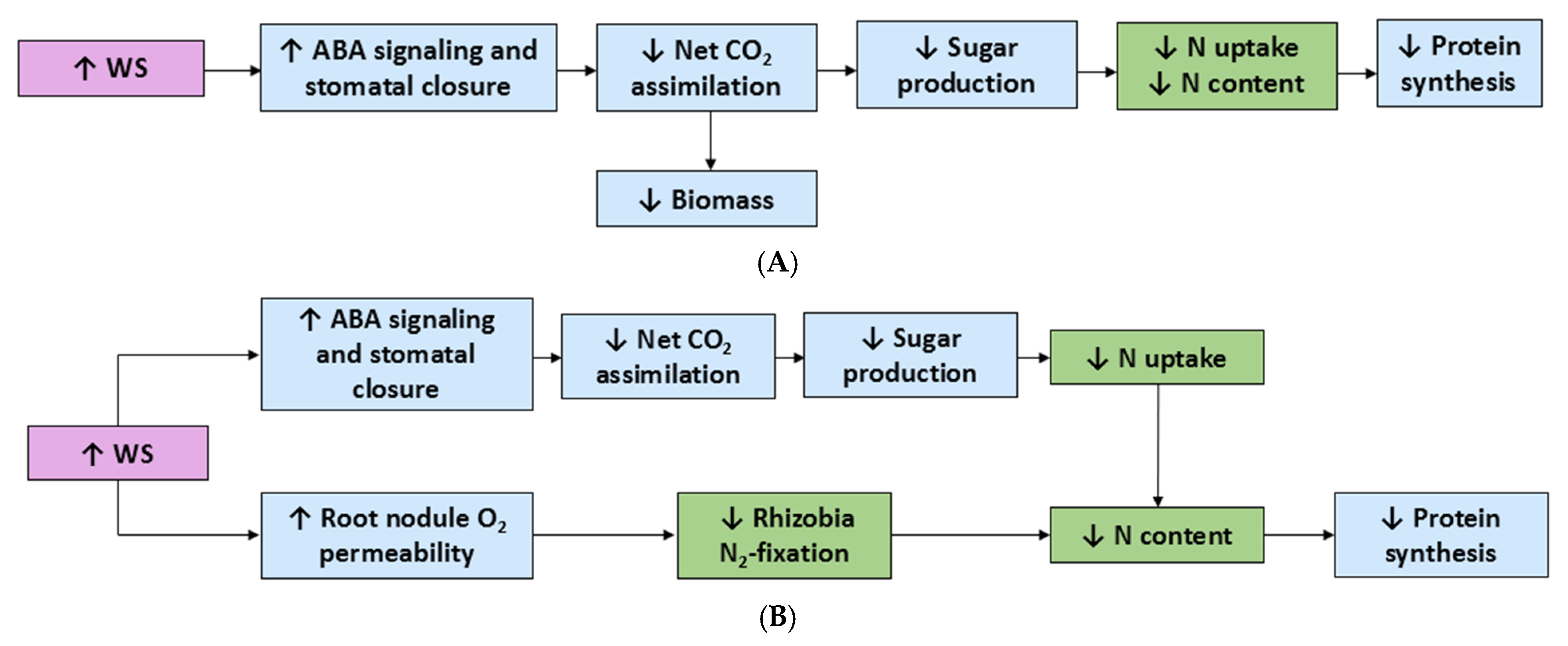 Plants 14 01025 g003