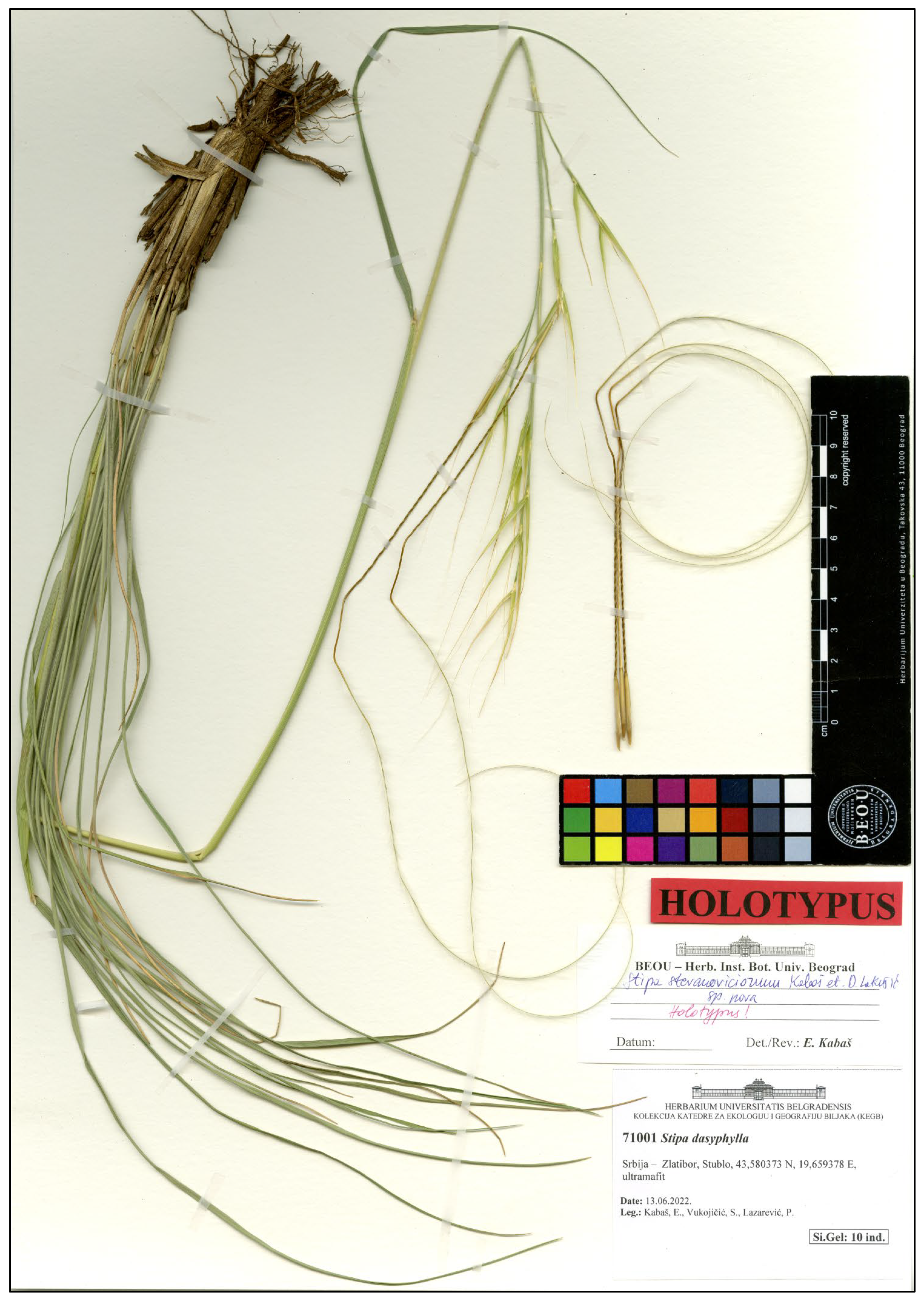 Plants 14 01035 g006 Plants 14 01035 g006