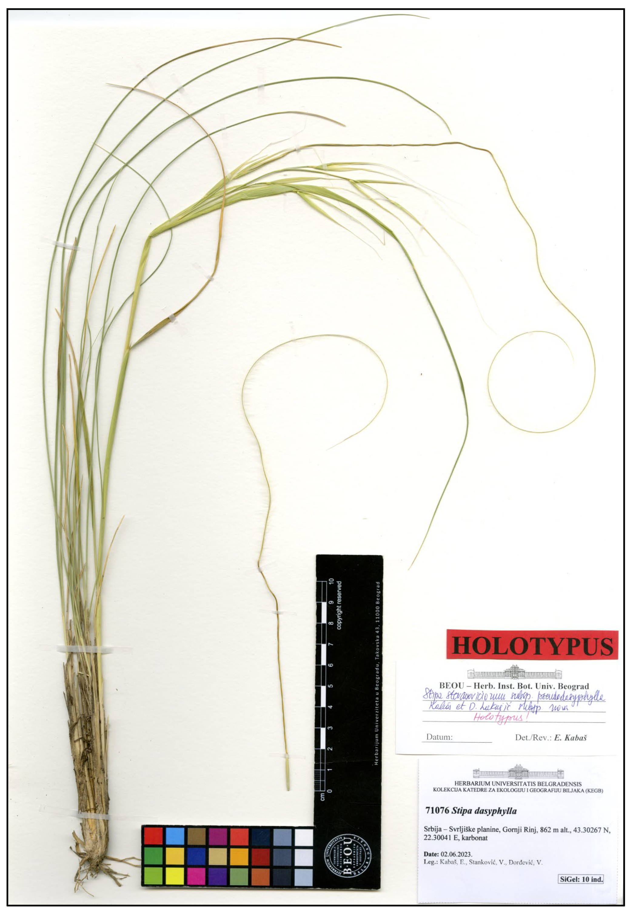 Plants 14 01035 g009 Plants 14 01035 g009