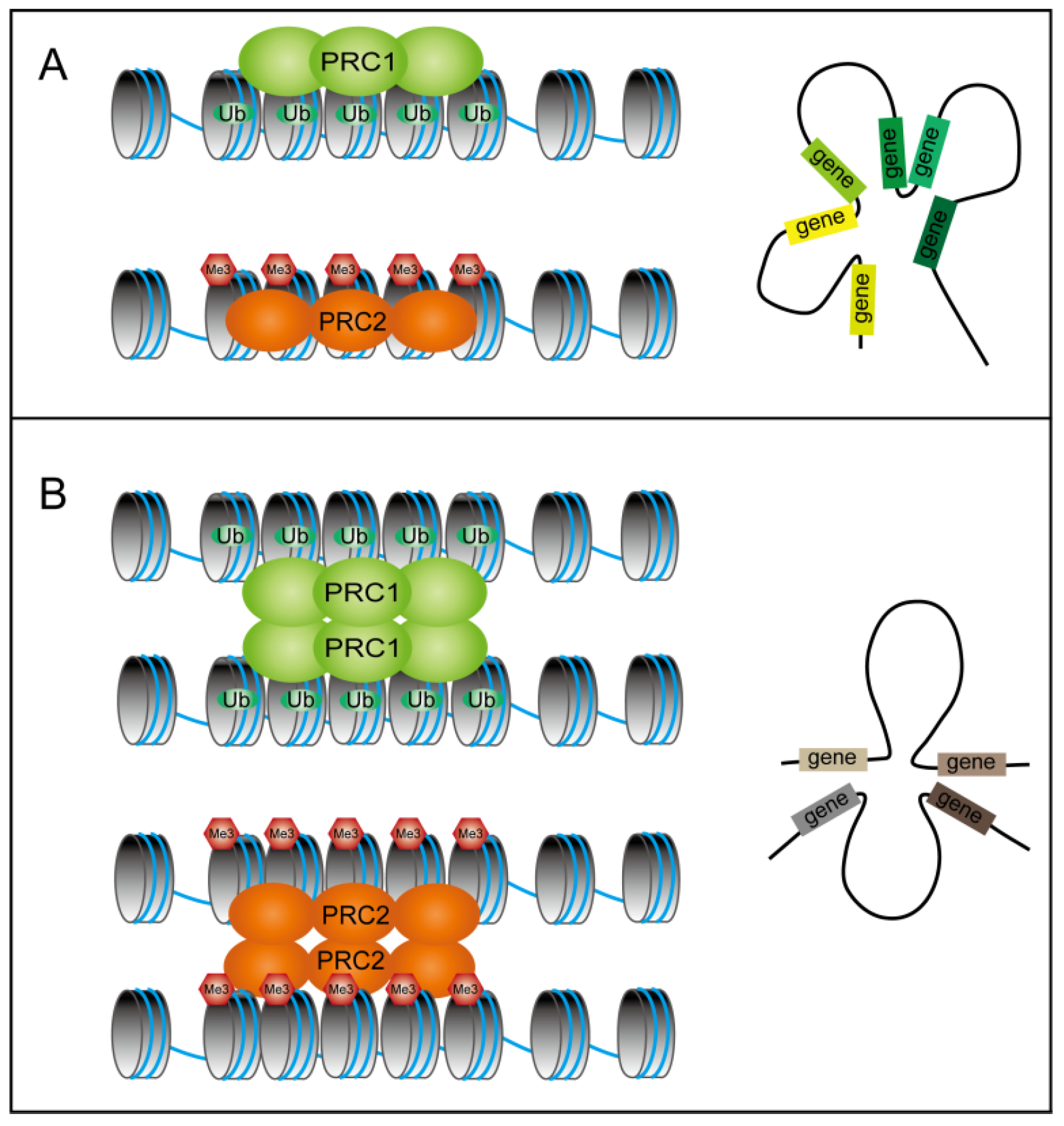 Plants 14 01038 g002