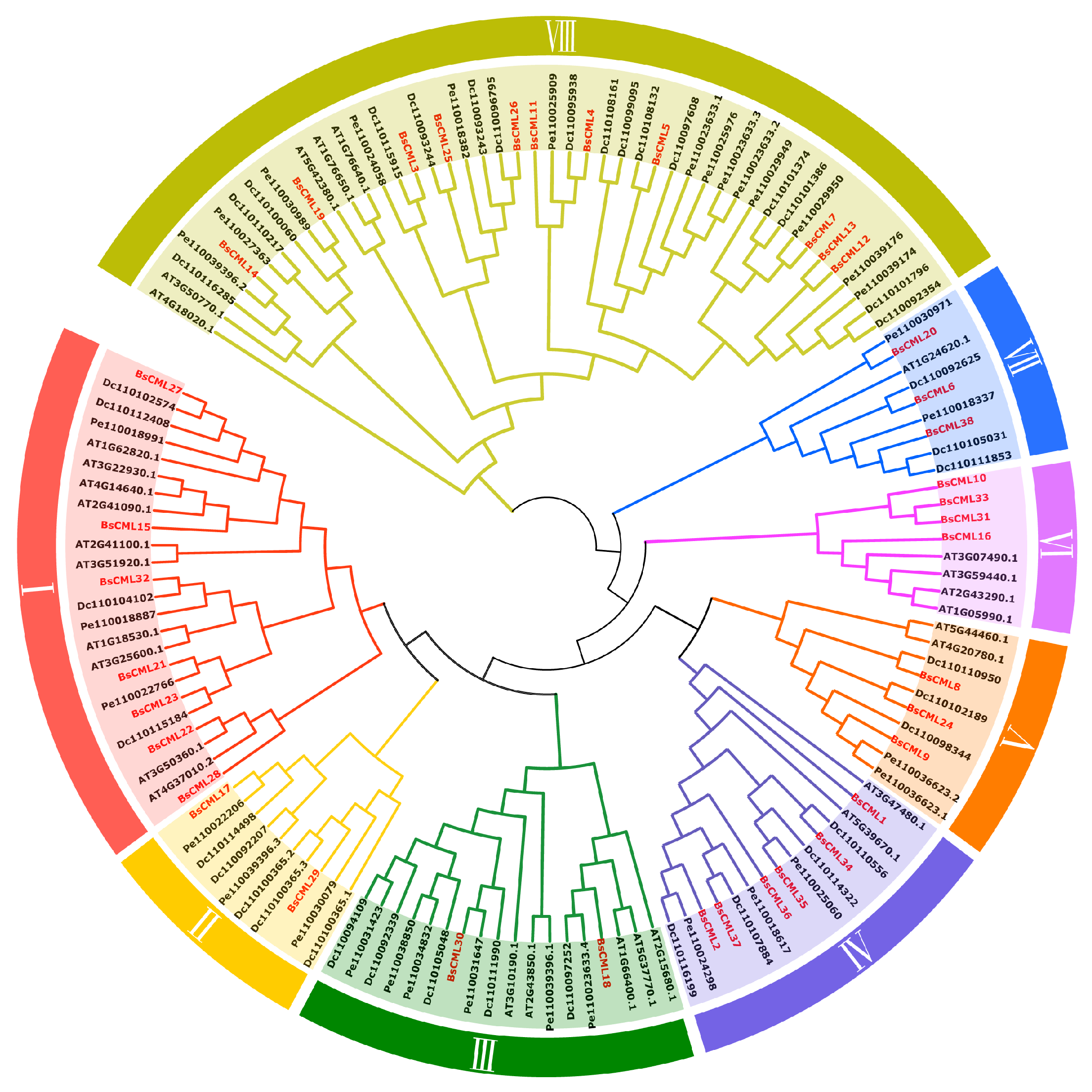 Plants 14 01052 g002 Plants 14 01052 g002